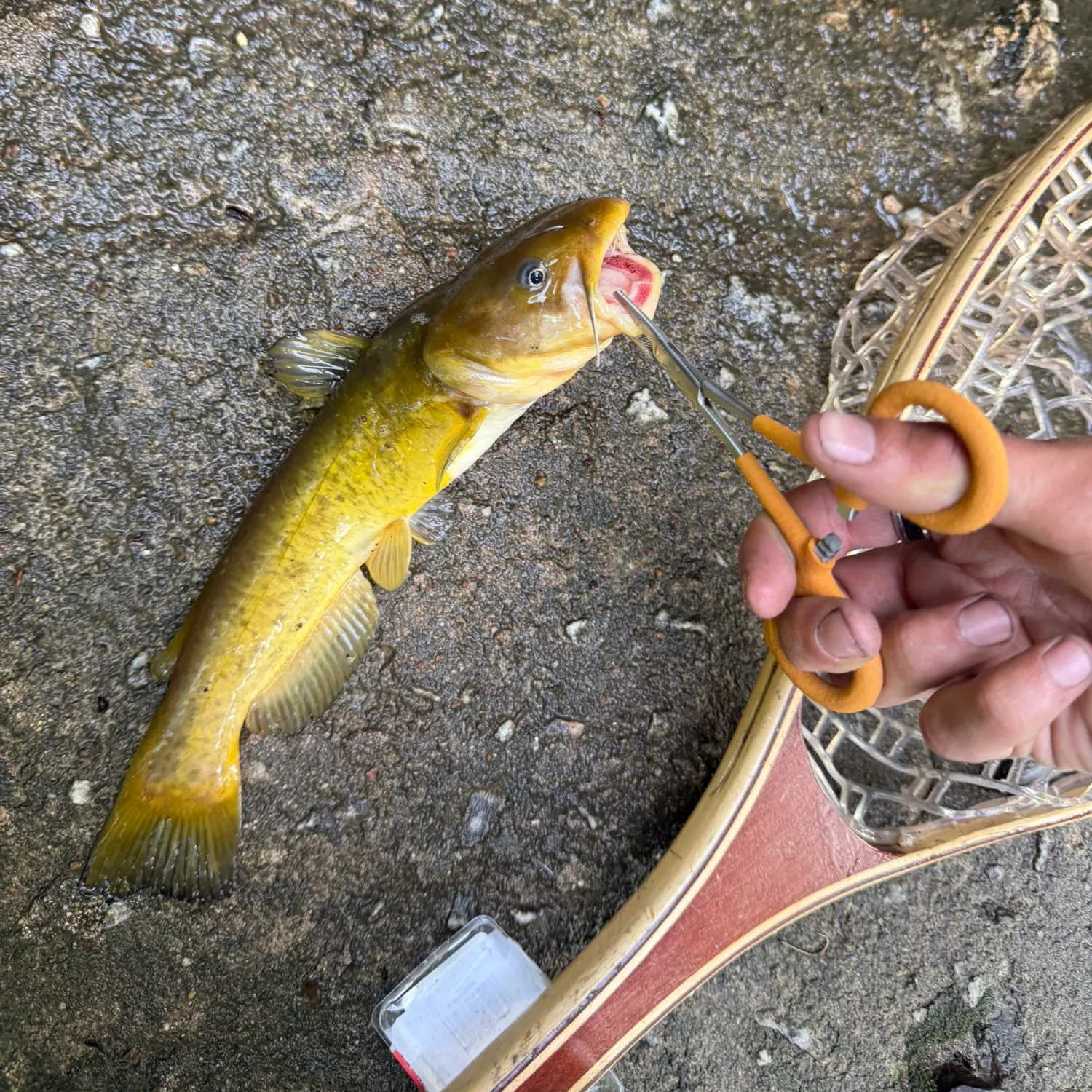 catch