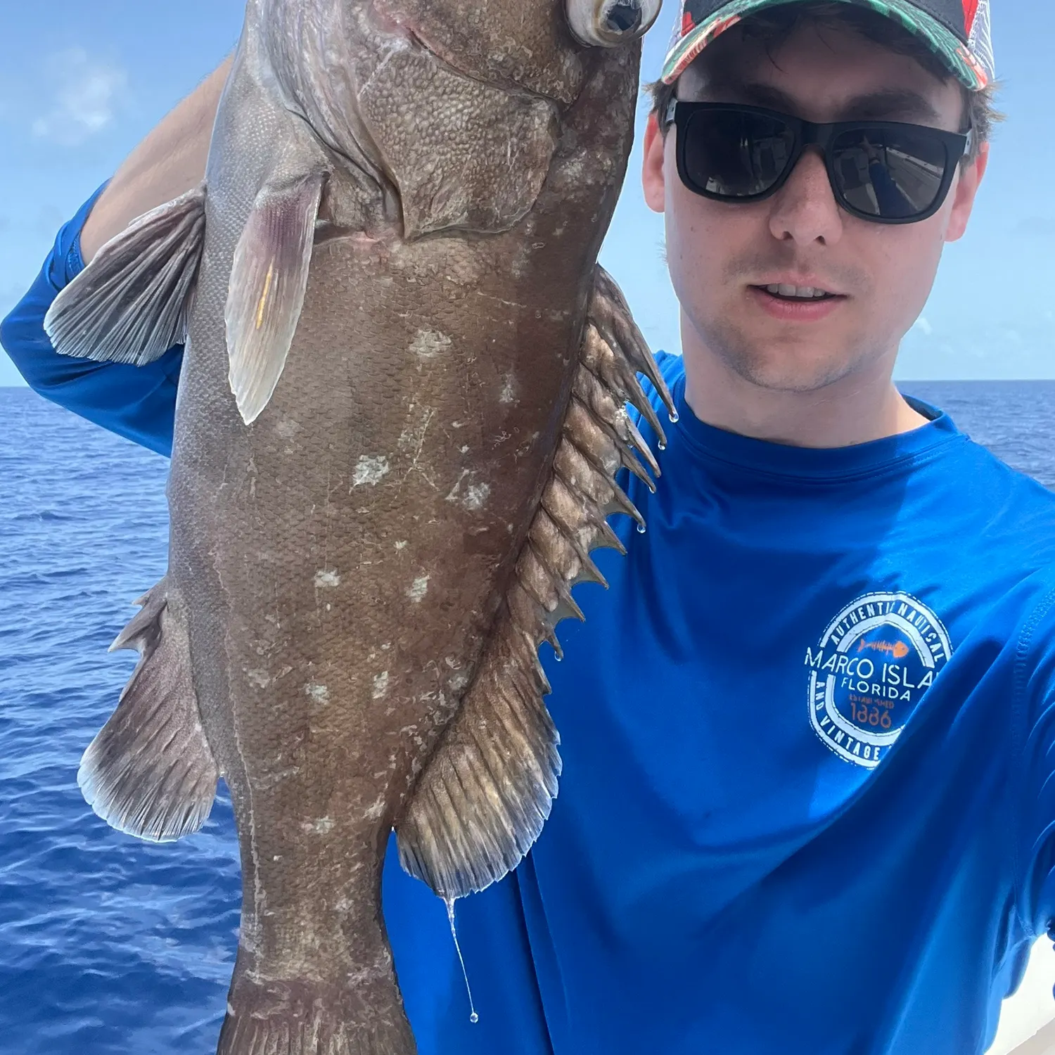 The most recent Snowy grouper catches on Fishbrain