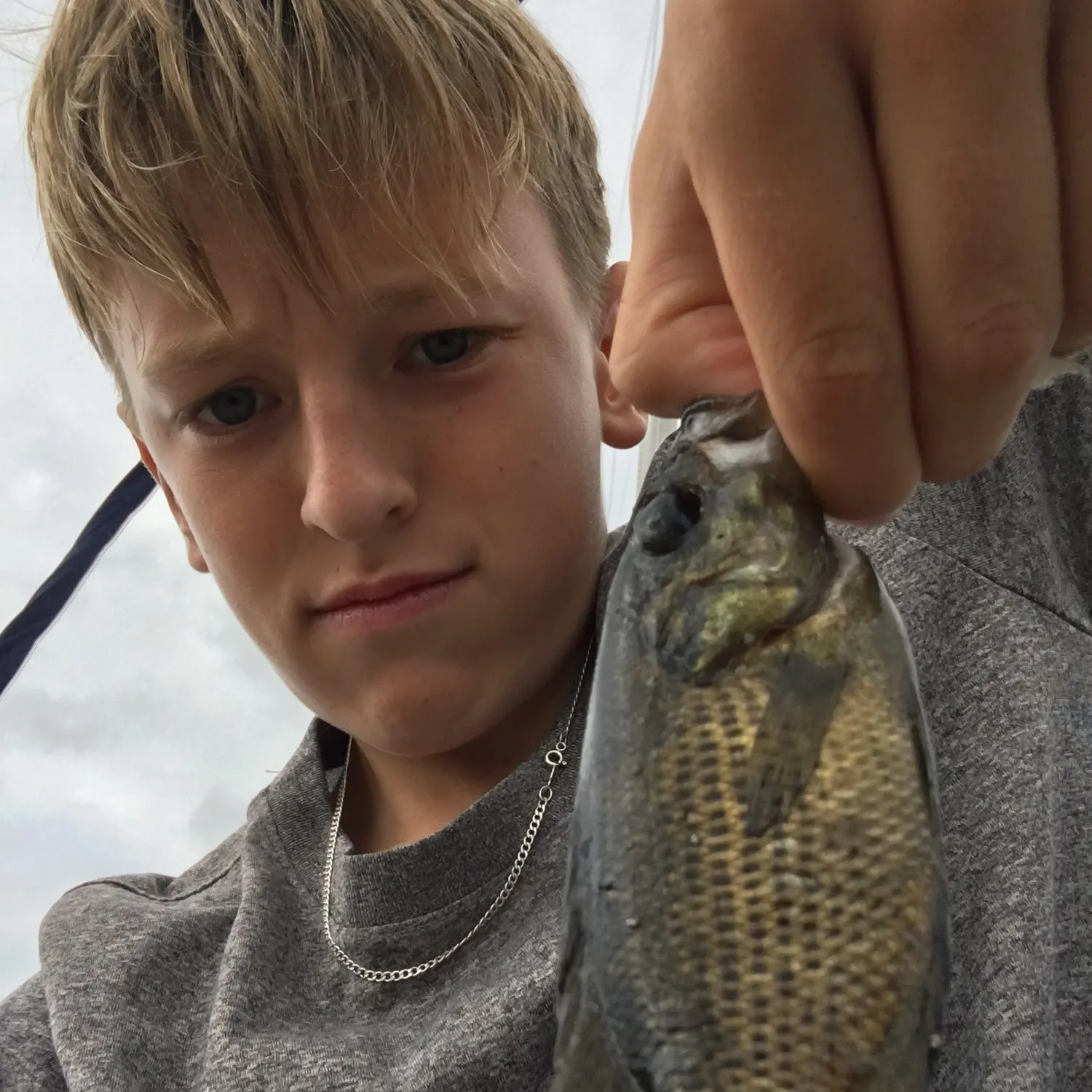 Rock bass caught on Fishbrain