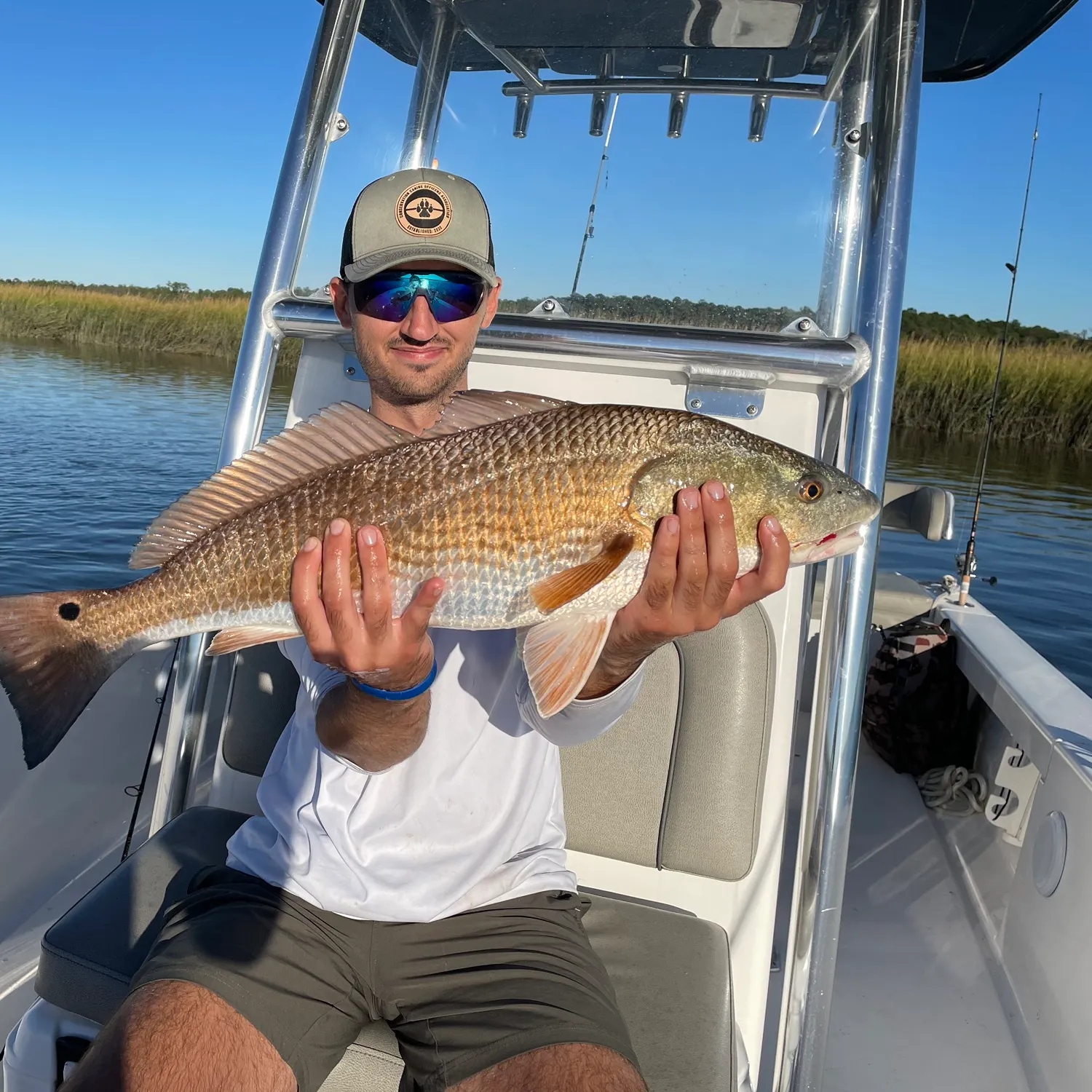 The most recent Red drum catches on Fishbrain