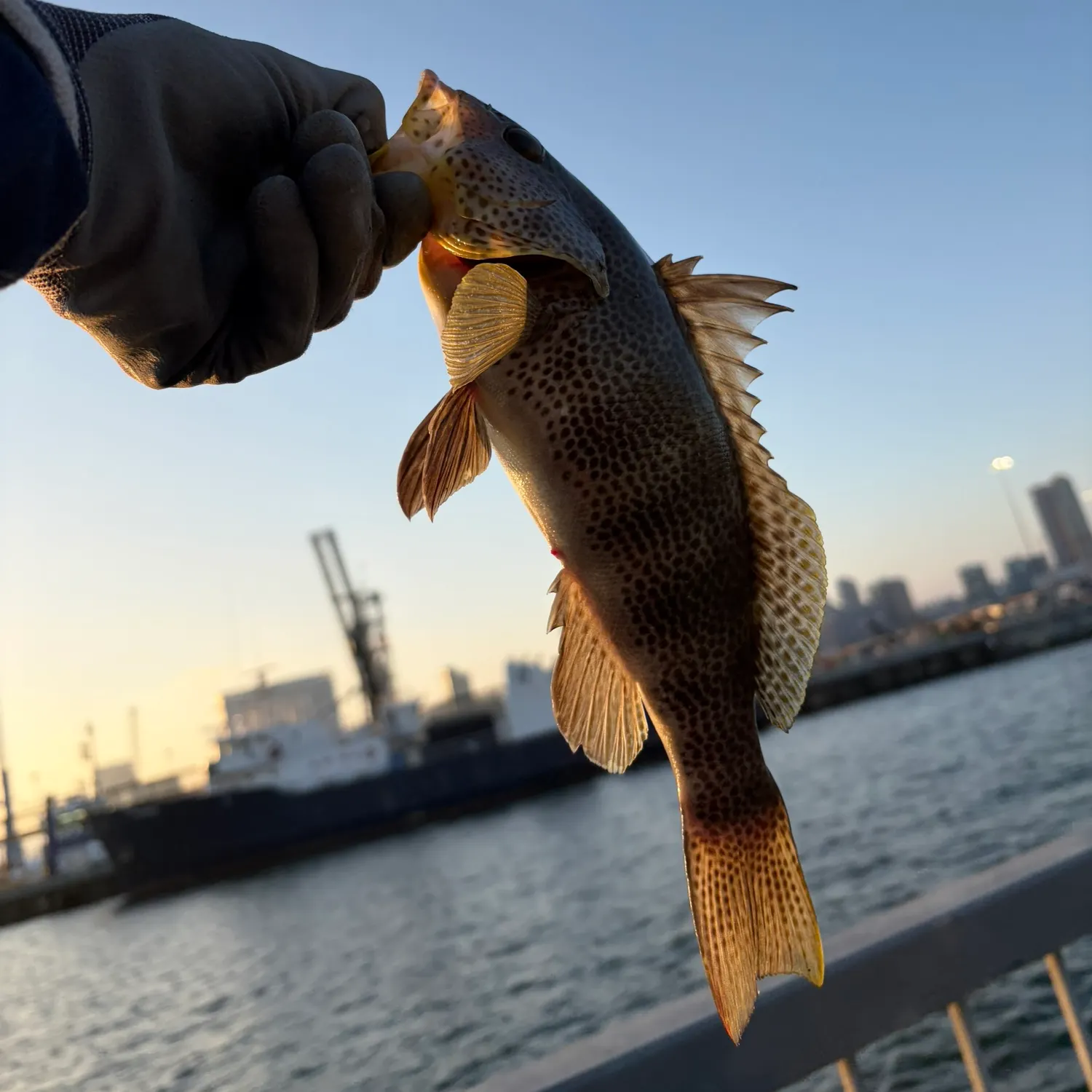 catch