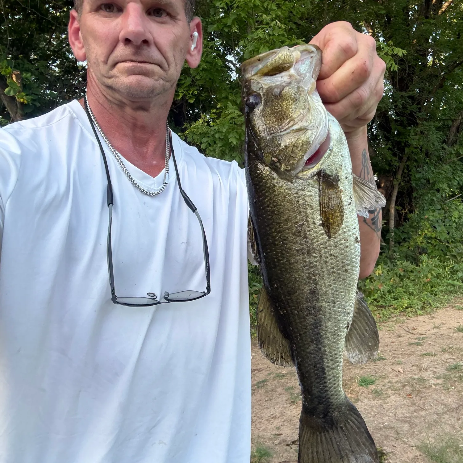 Largemouth bass caught on Fishbrain