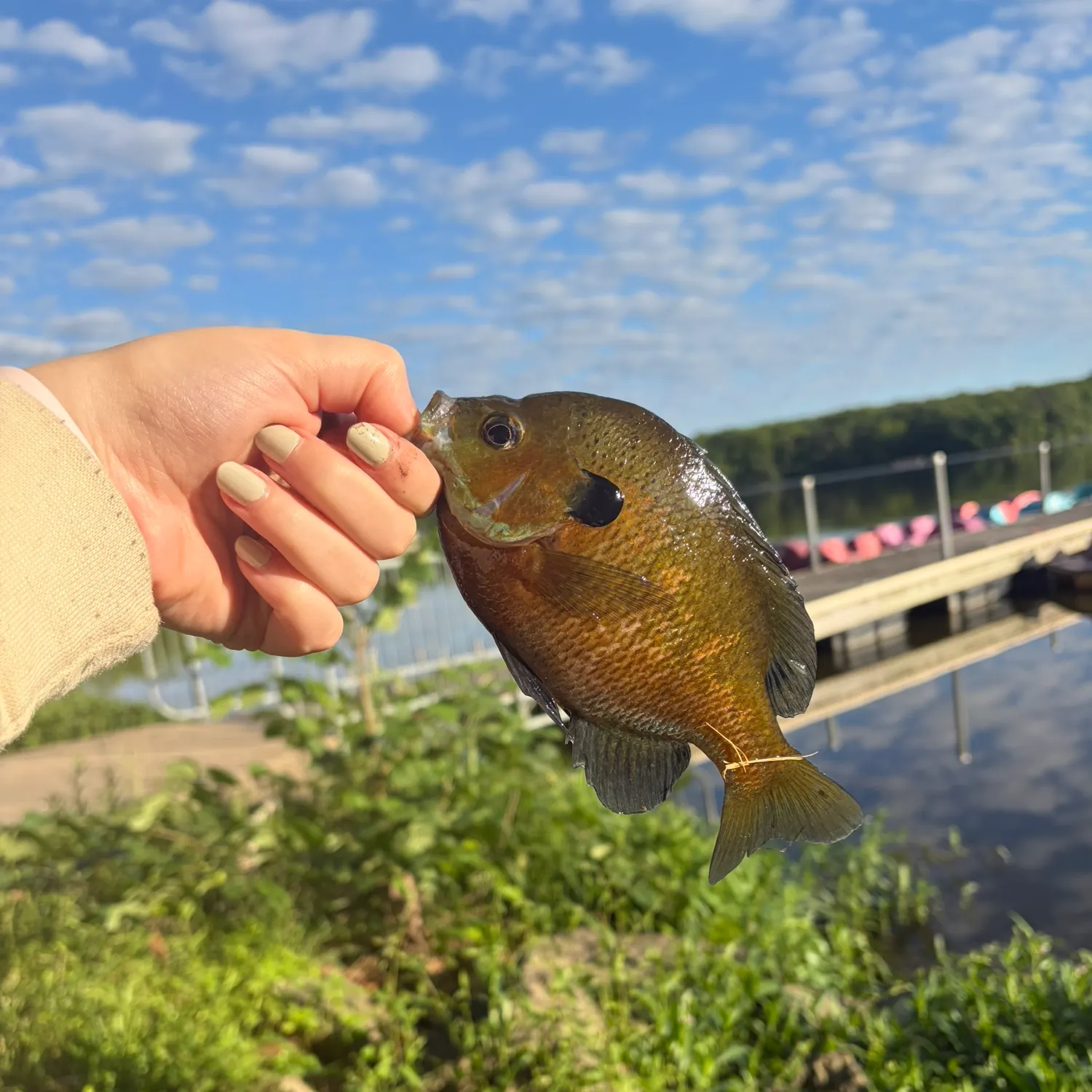 catch