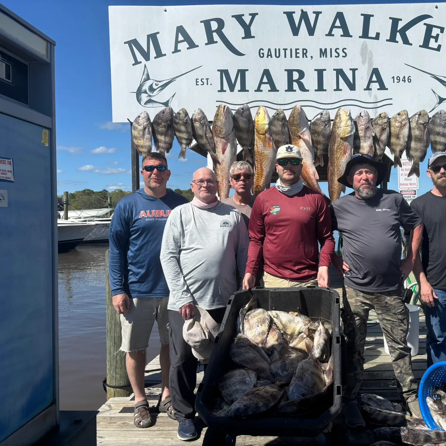 The most recent Bighead carp catches on Fishbrain