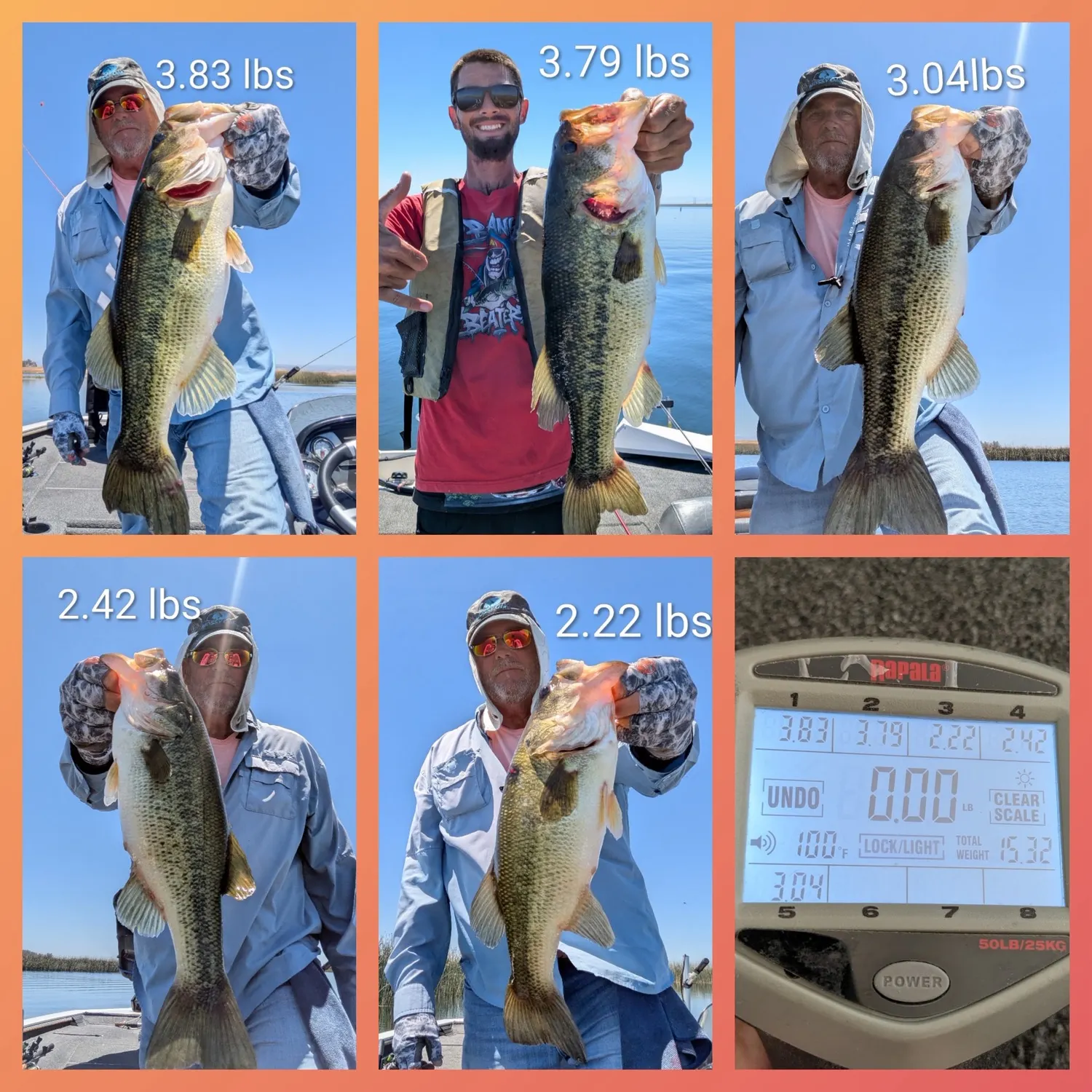 recently logged catches