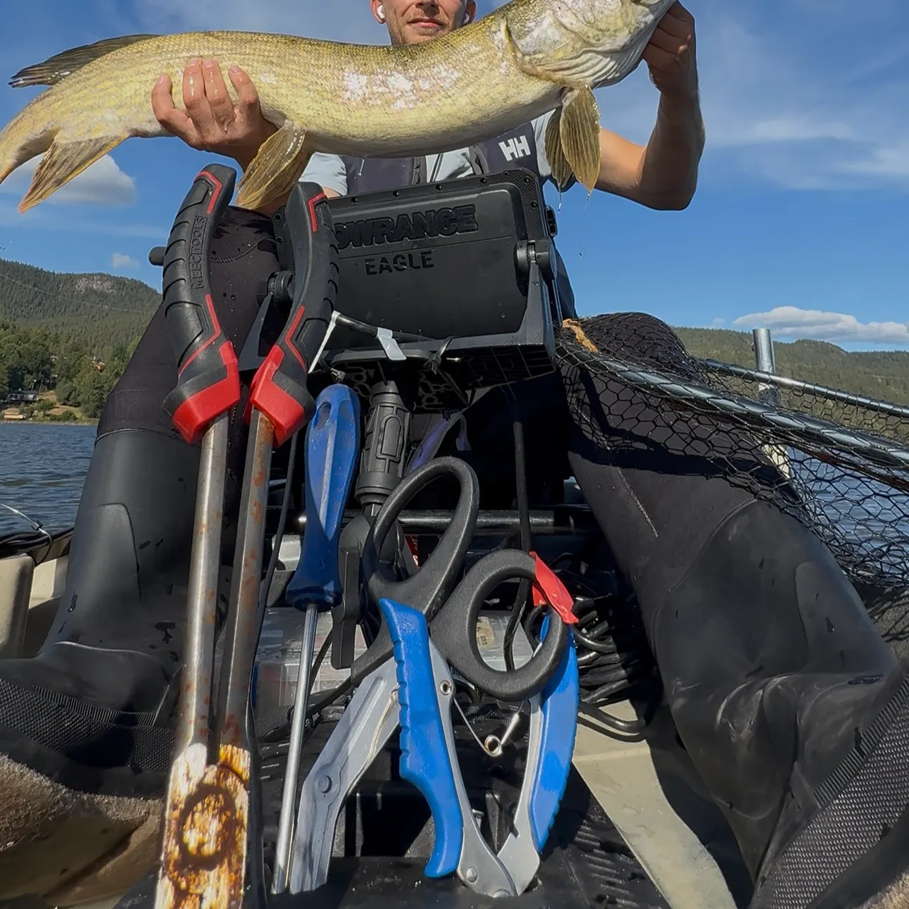 Northern pike caught on Fishbrain