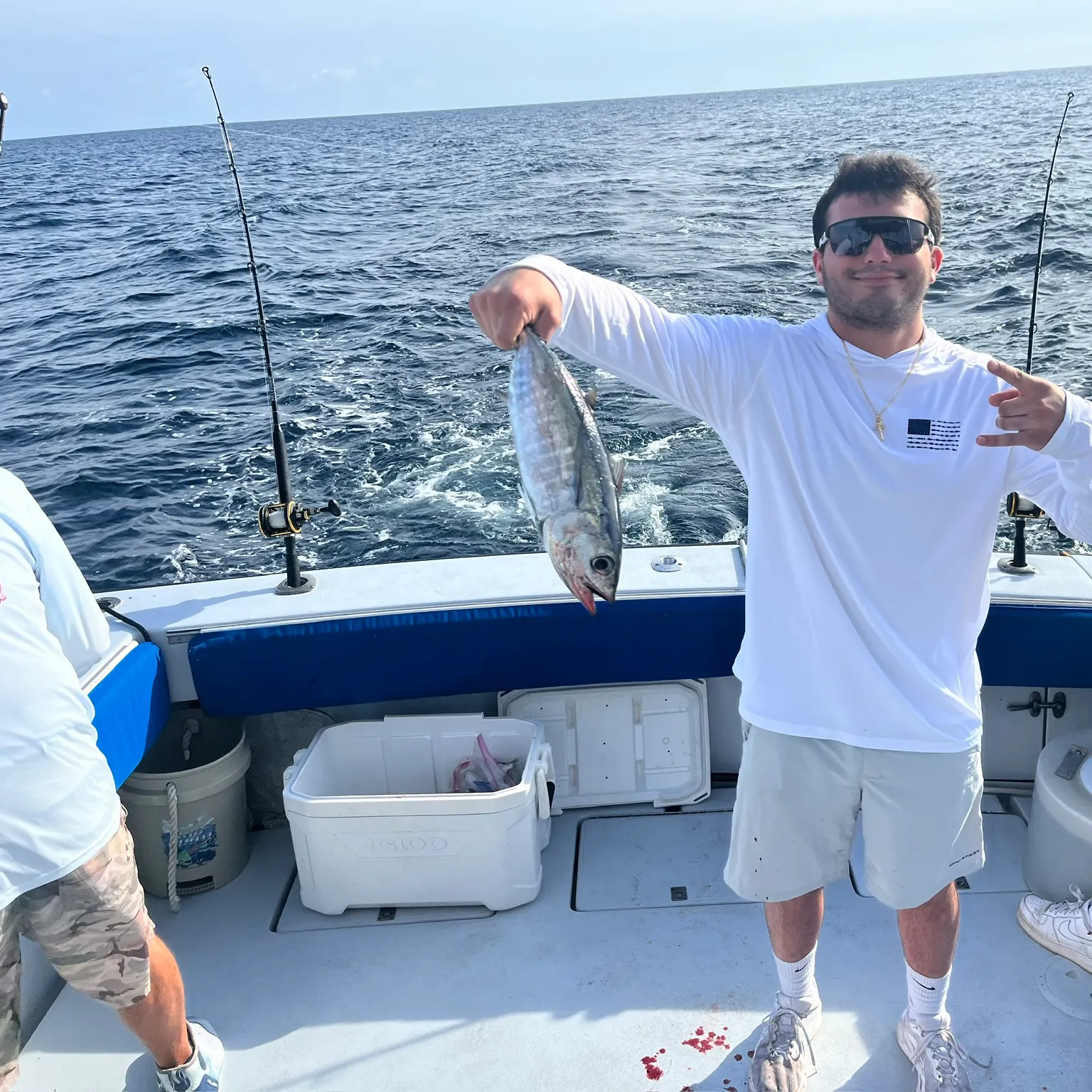 The most recent Blackfin tuna catches on Fishbrain