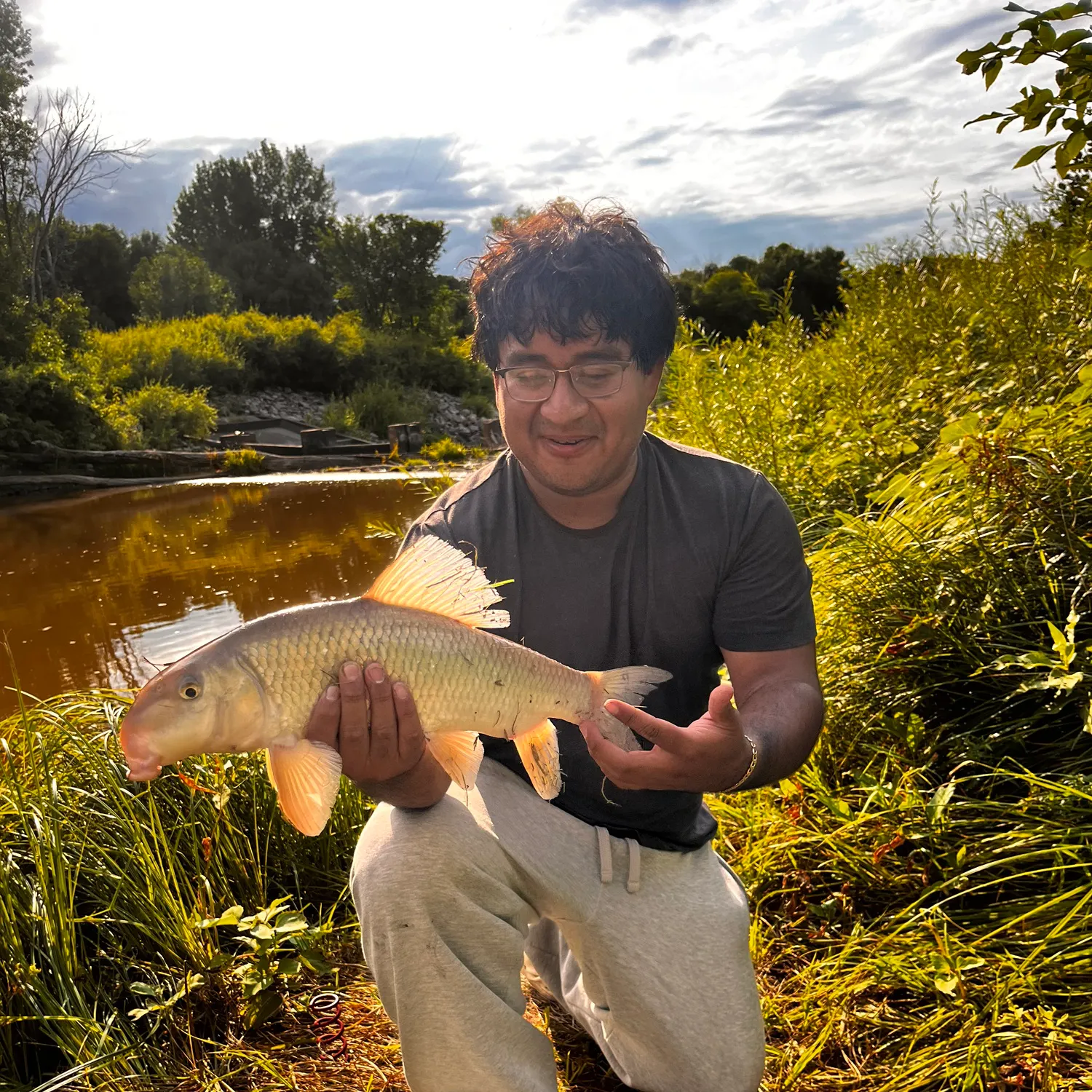 The most recent Silver redhorse catches on Fishbrain