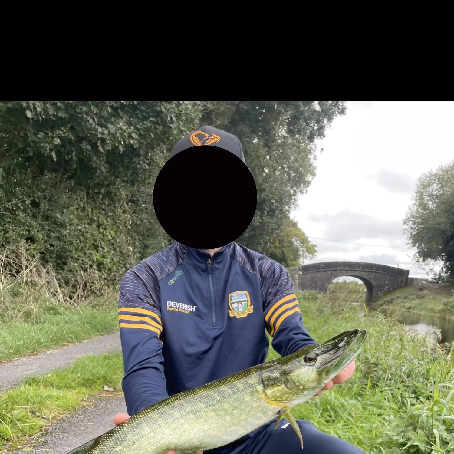 Northern pike caught on Fishbrain