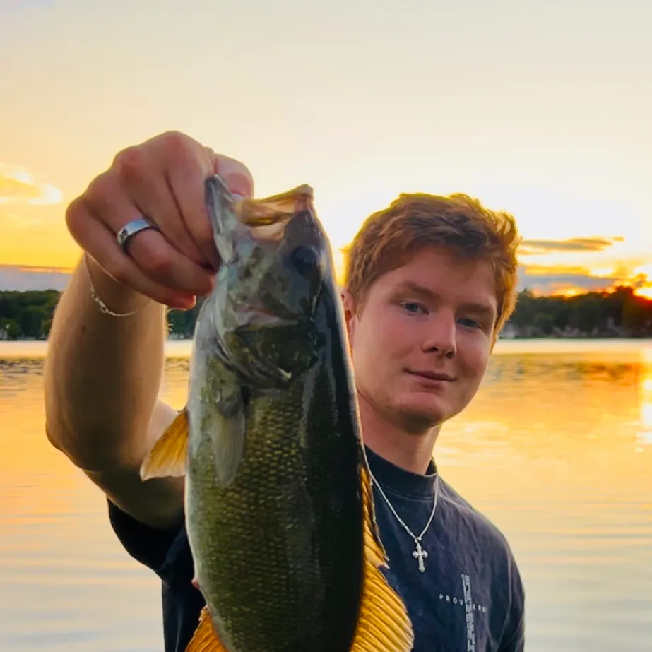 Smallmouth bass caught on Fishbrain