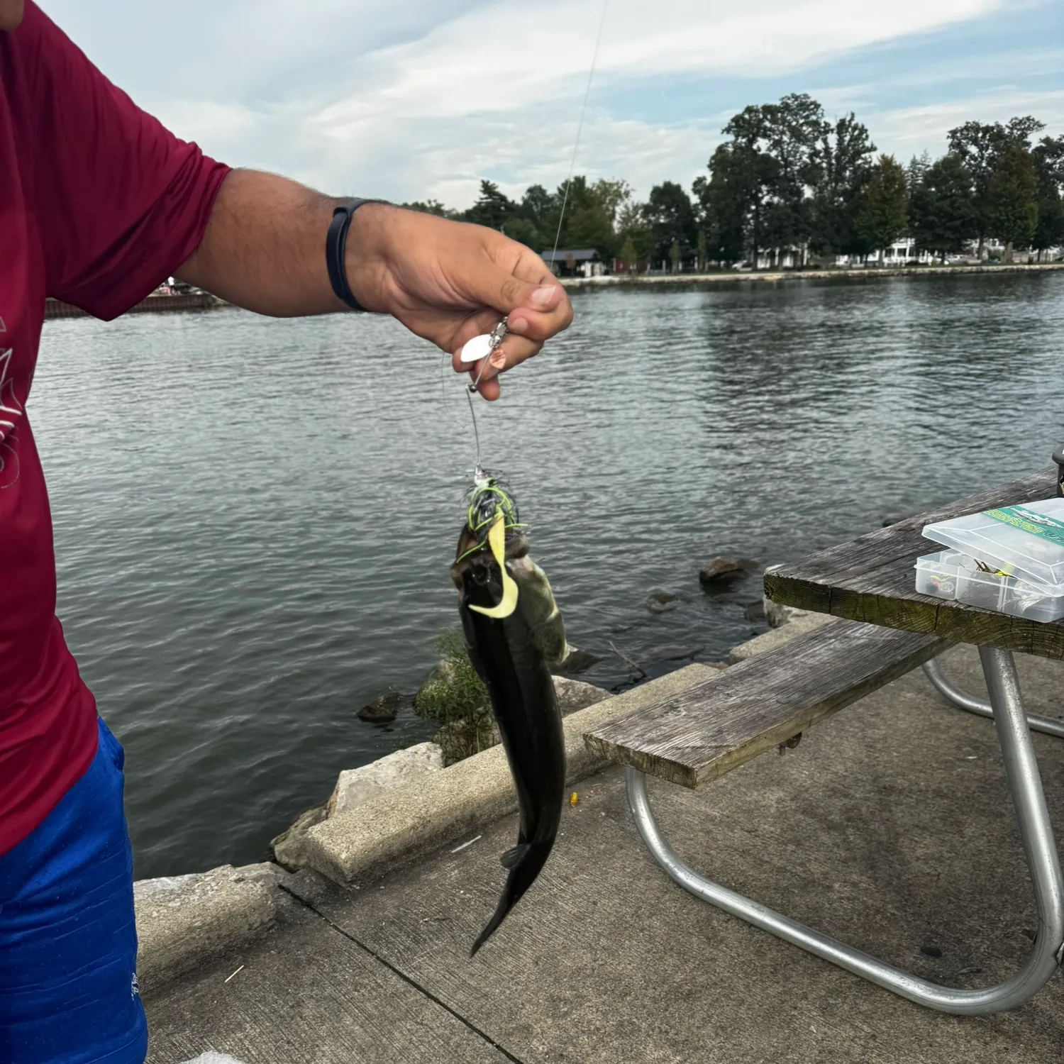 Largemouth bass caught on Fishbrain