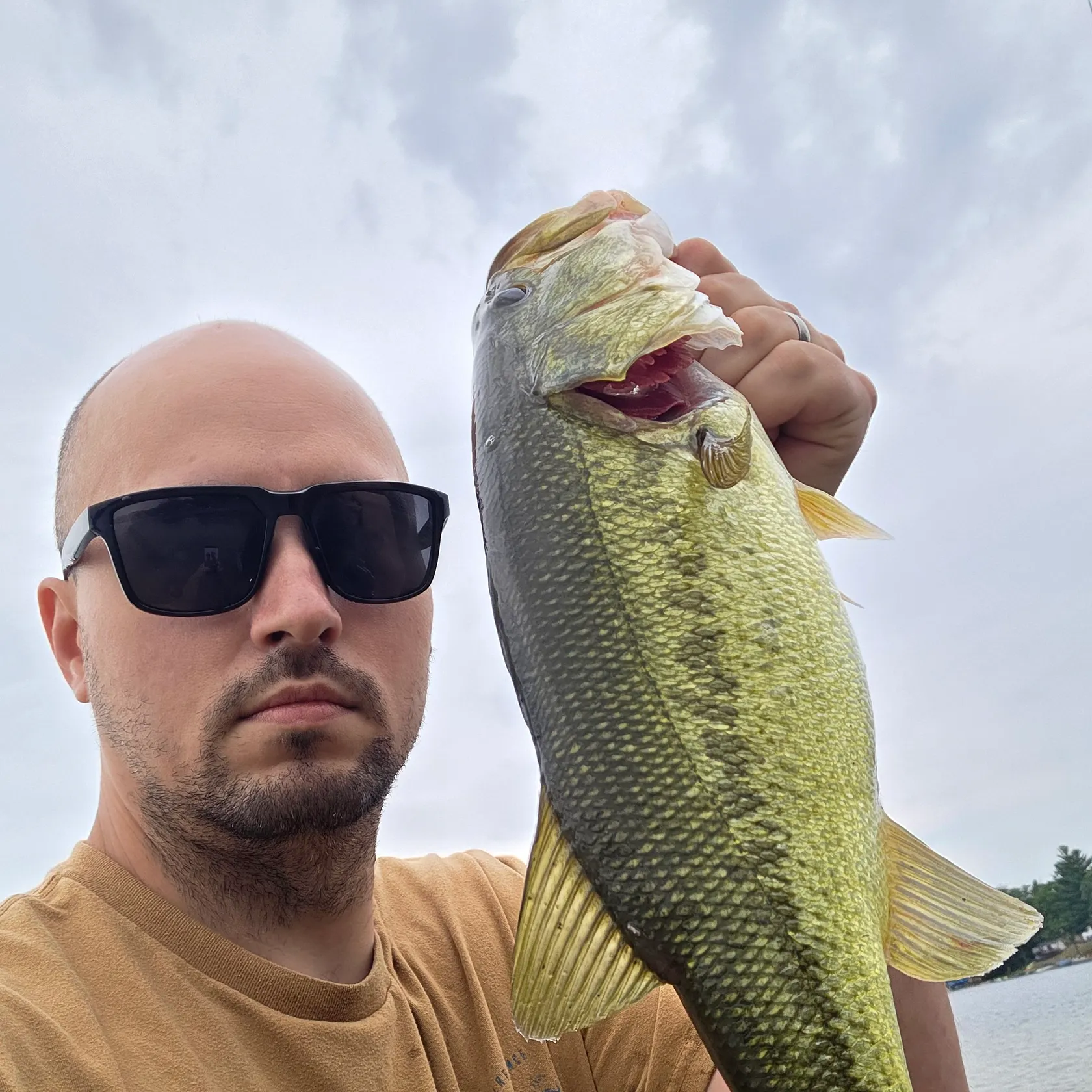 Largemouth bass caught on Fishbrain