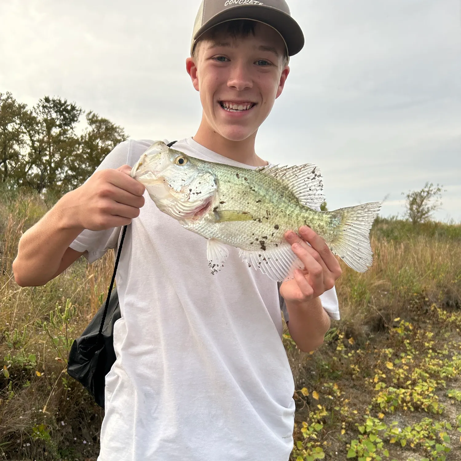 White crappie caught on Fishbrain
