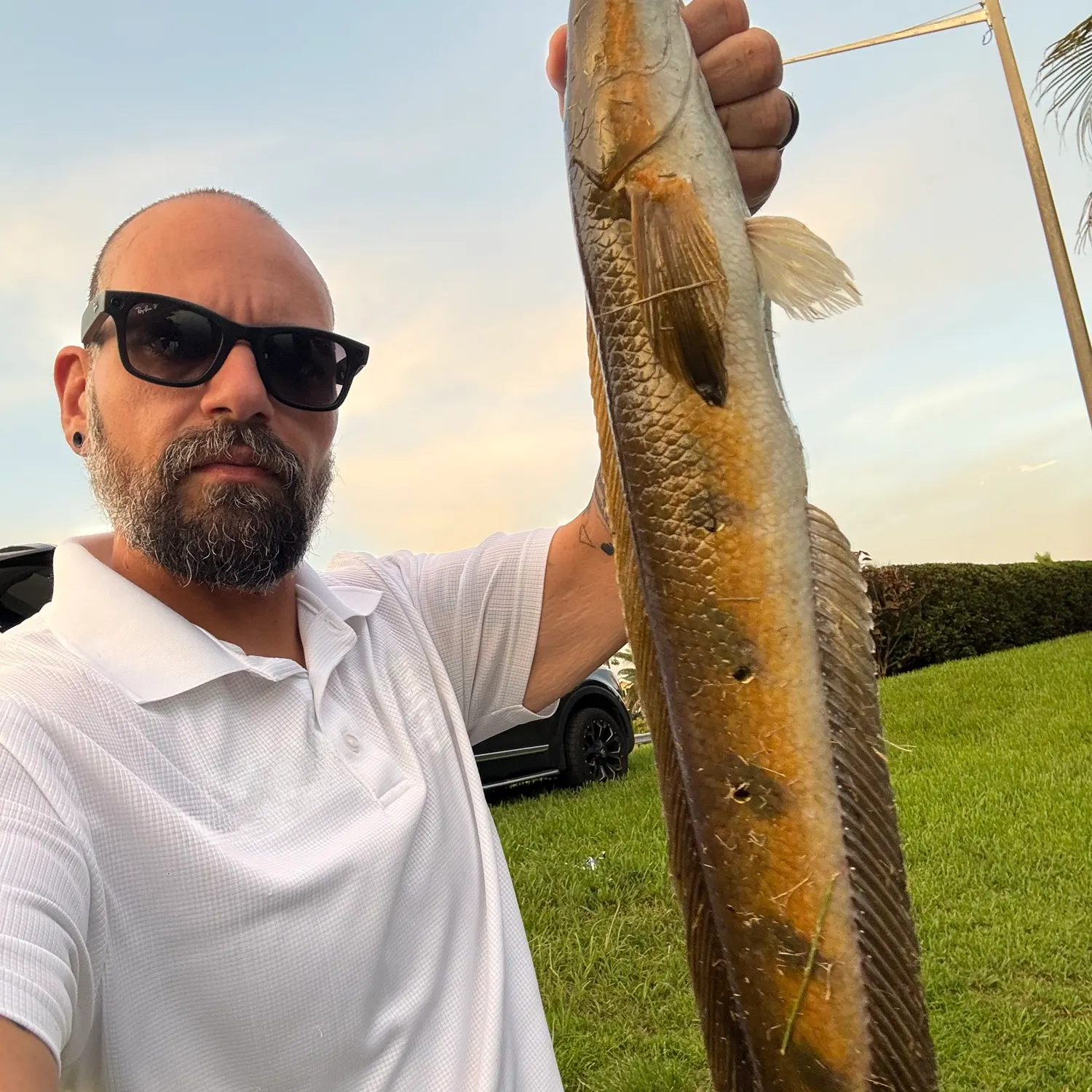 Bullseye snakehead caught on Fishbrain