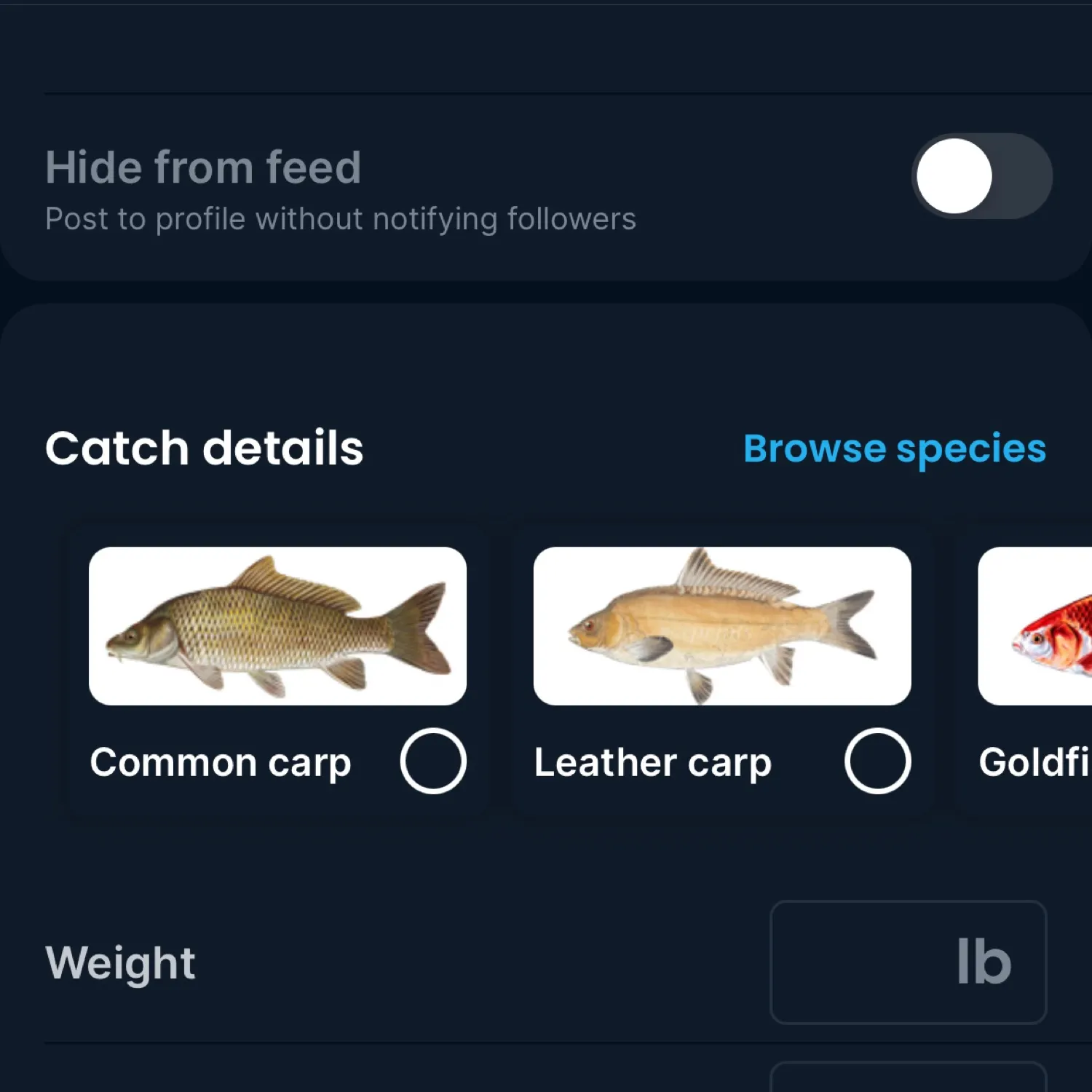 recently logged catches