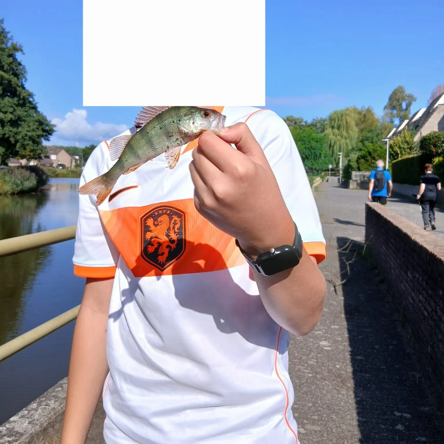 European perch caught on Fishbrain