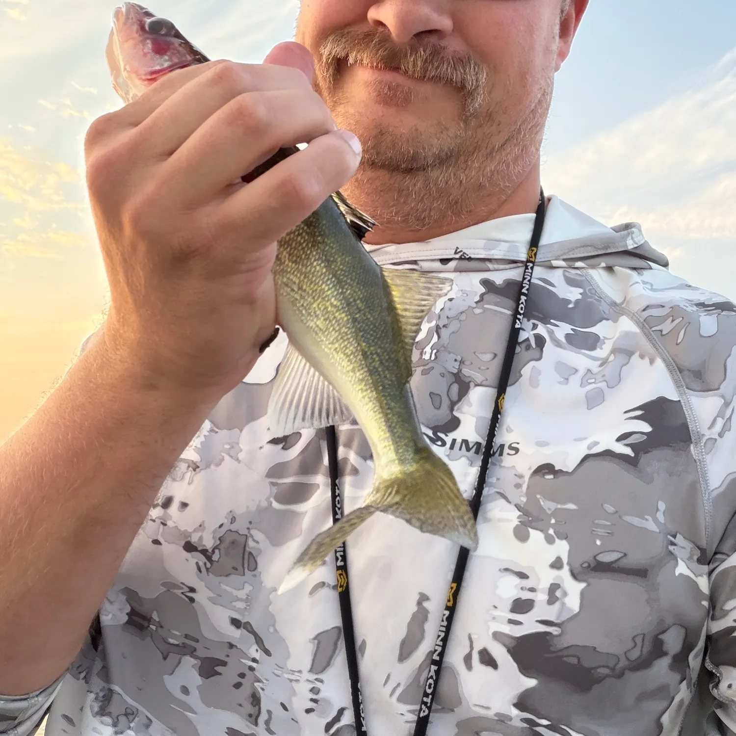 Walleye caught on Fishbrain