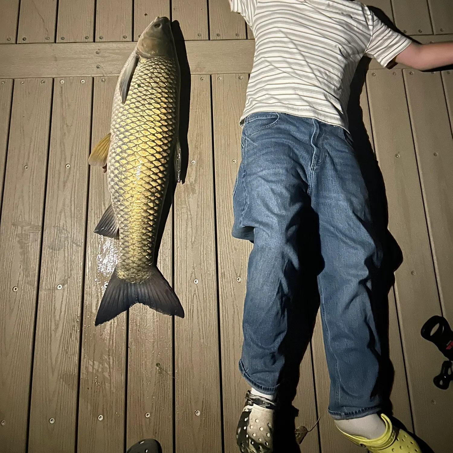 Grass carp caught on Fishbrain