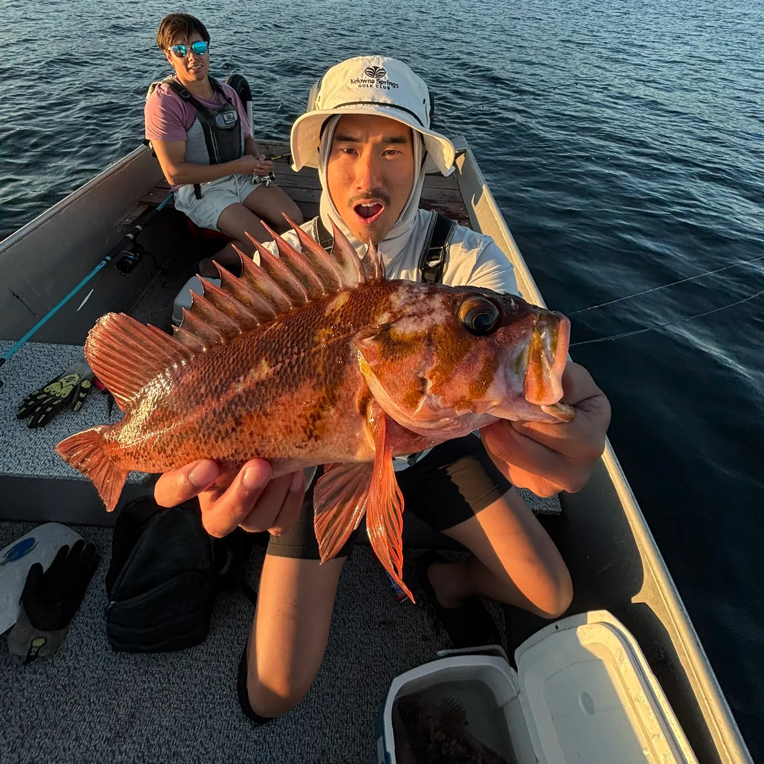 The most recent Copper rockfish catches on Fishbrain