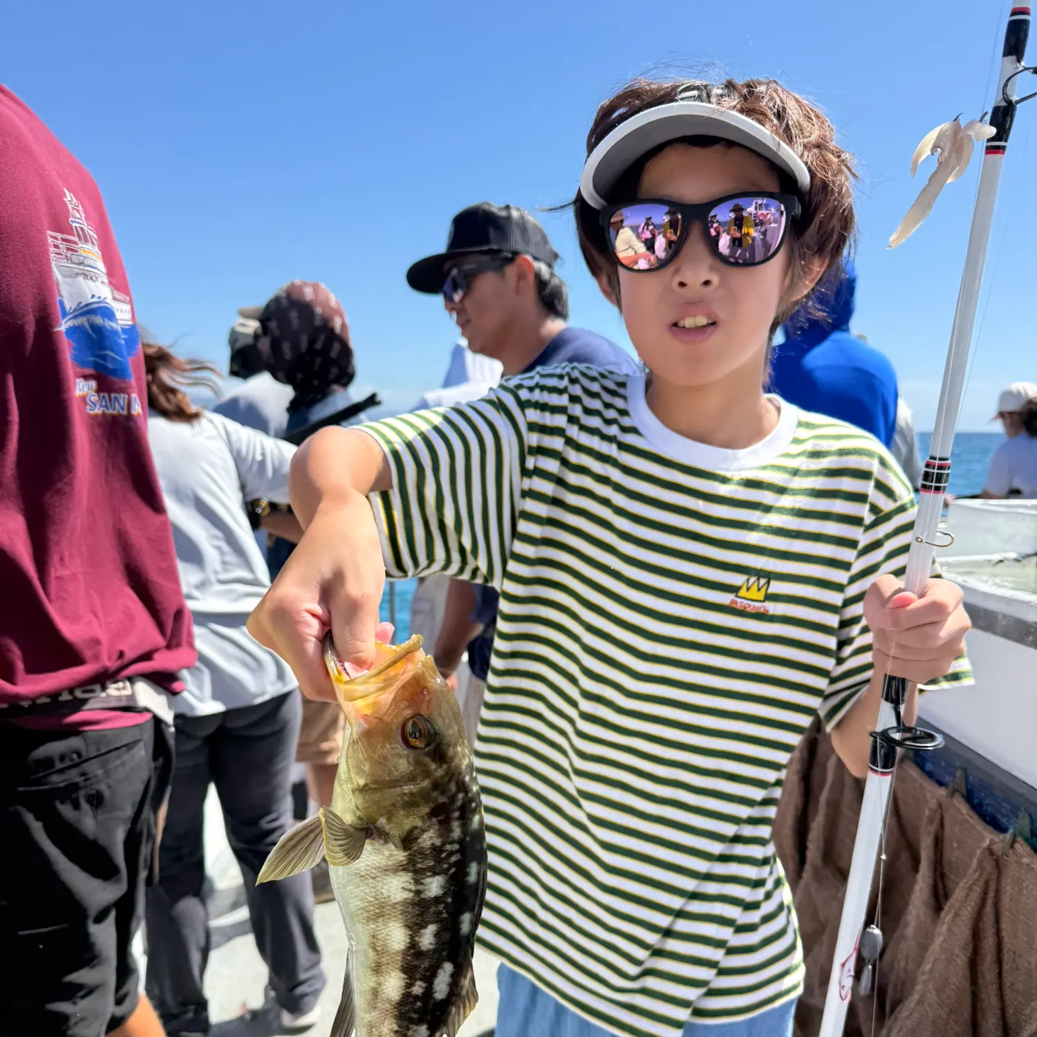 Kelp bass caught on Fishbrain