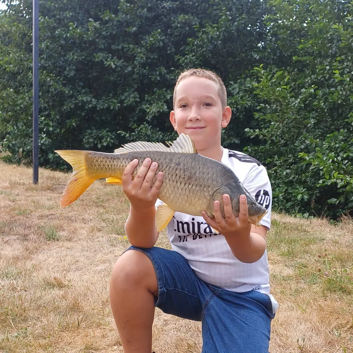 Common carp caught on Fishbrain