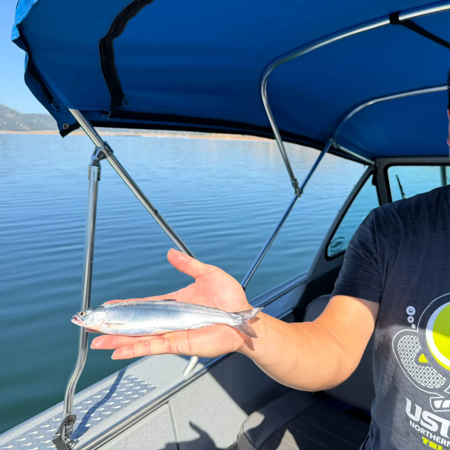 The most recent Kokanee salmon catches on Fishbrain
