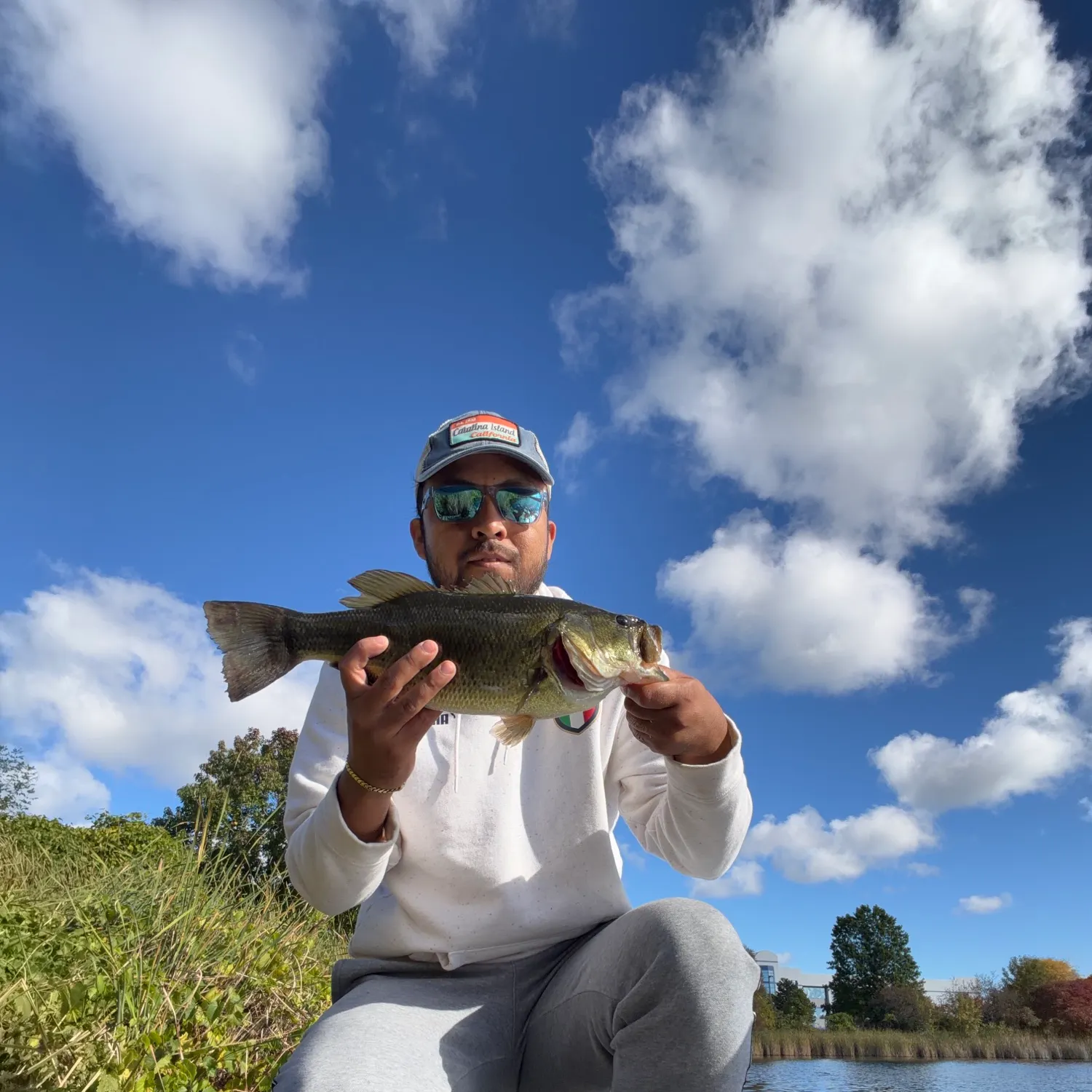 Largemouth bass caught on Fishbrain
