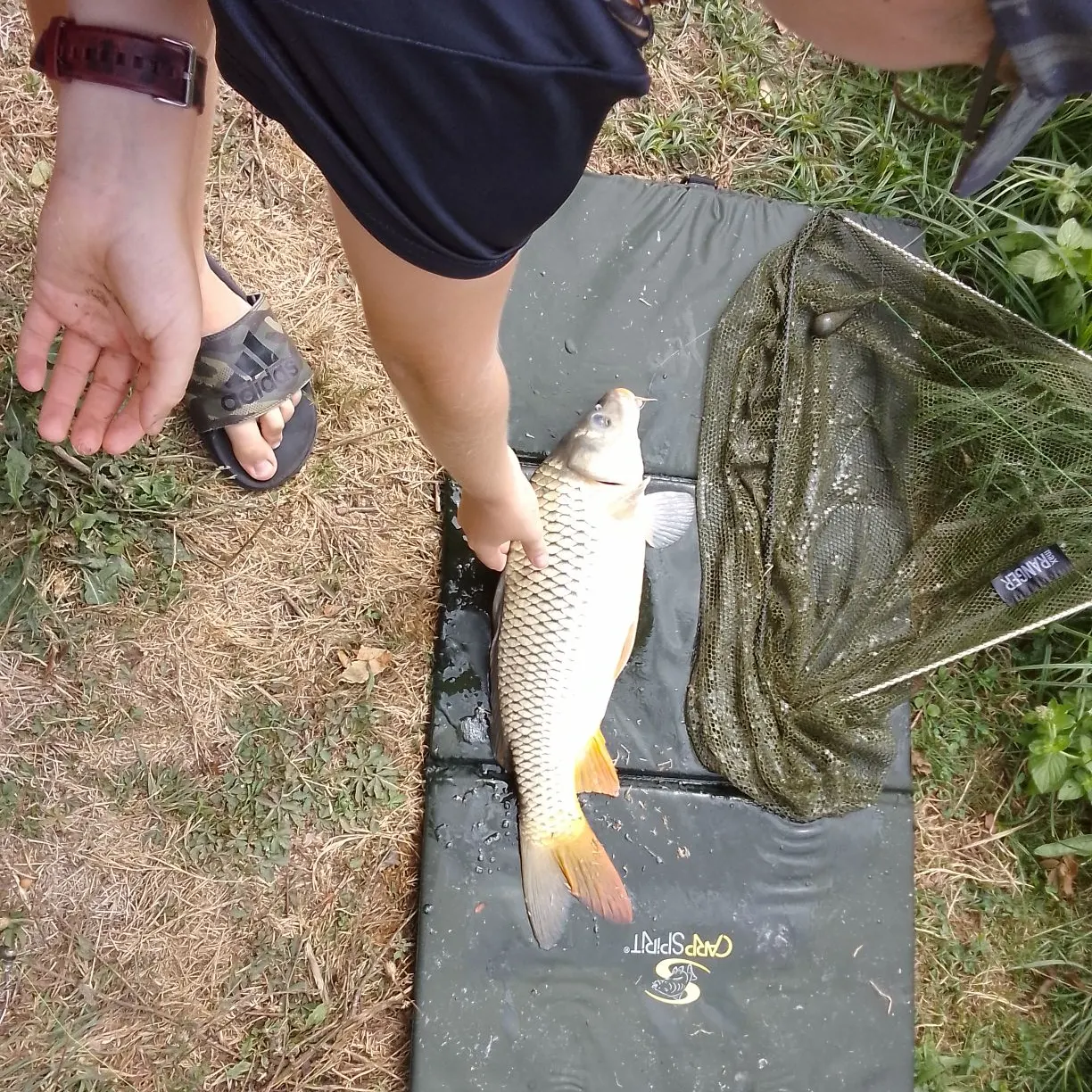 Fish caught on Fishbrain