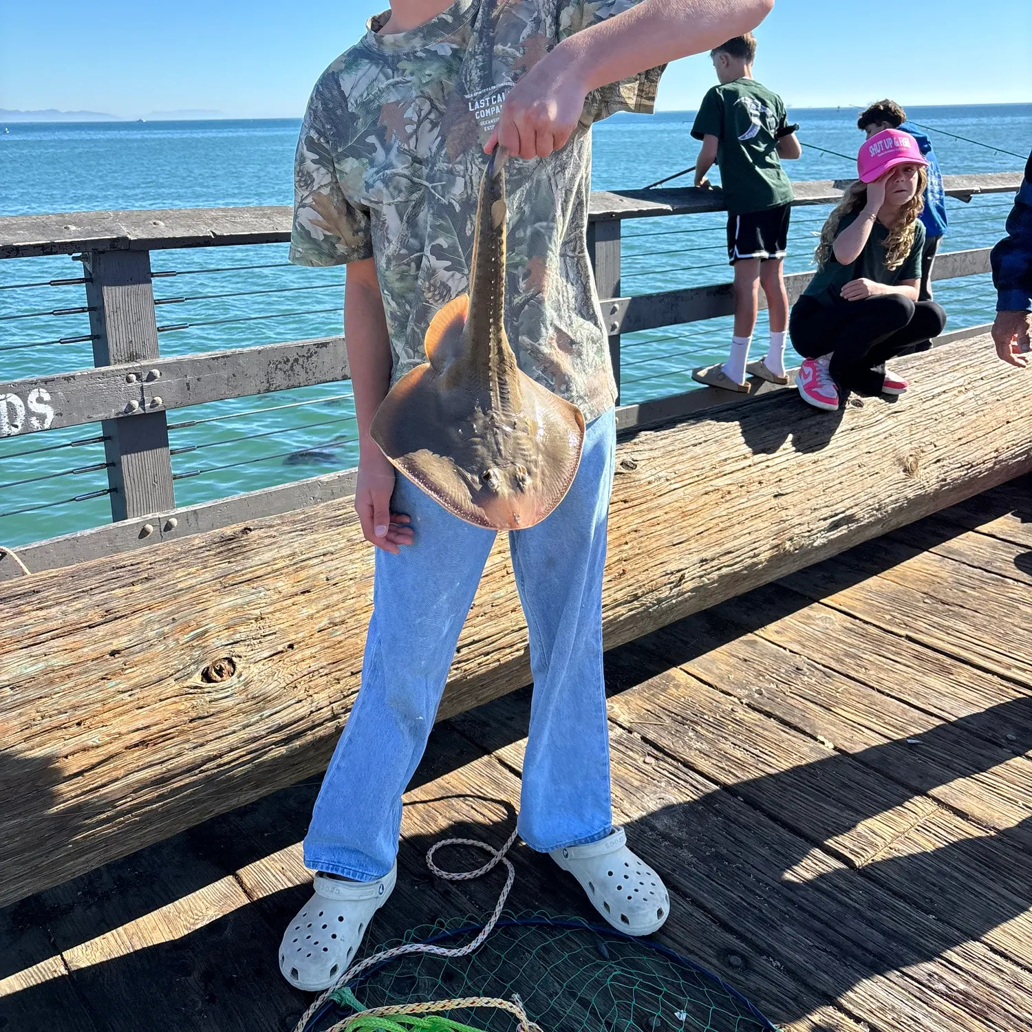 The most recent Thornback ray catches on Fishbrain