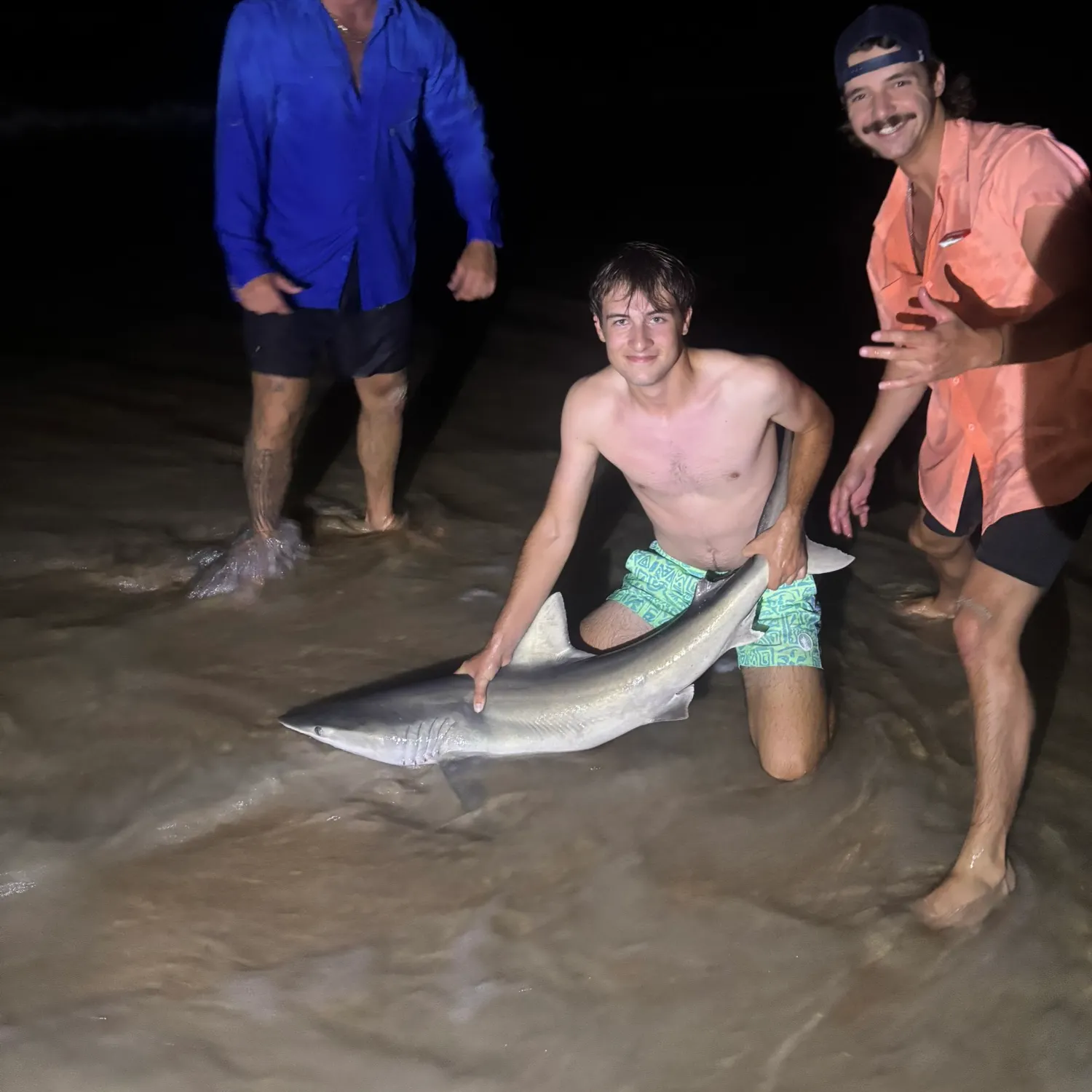 The most recent Dusky shark catches on Fishbrain