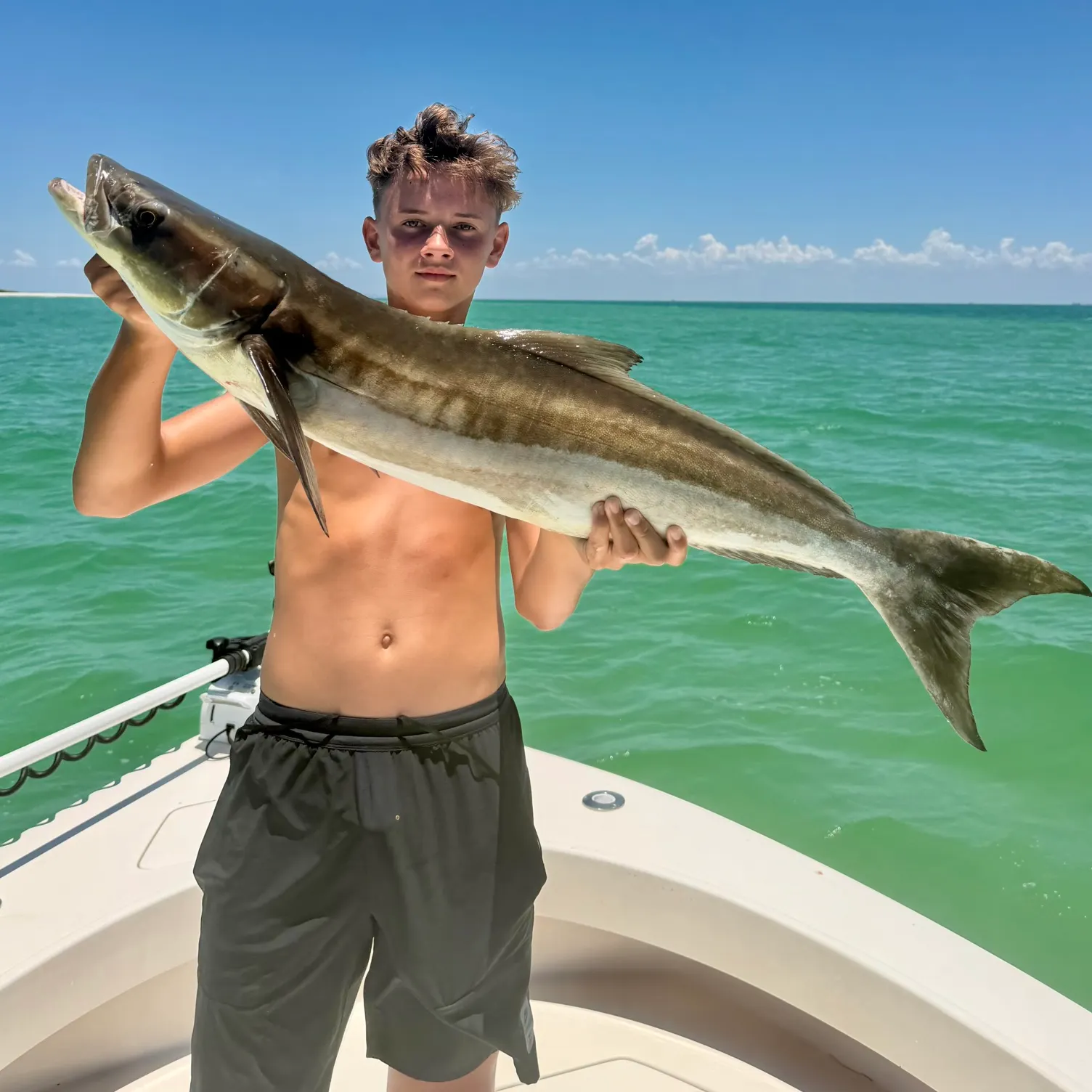 The most recent Cobia catches on Fishbrain