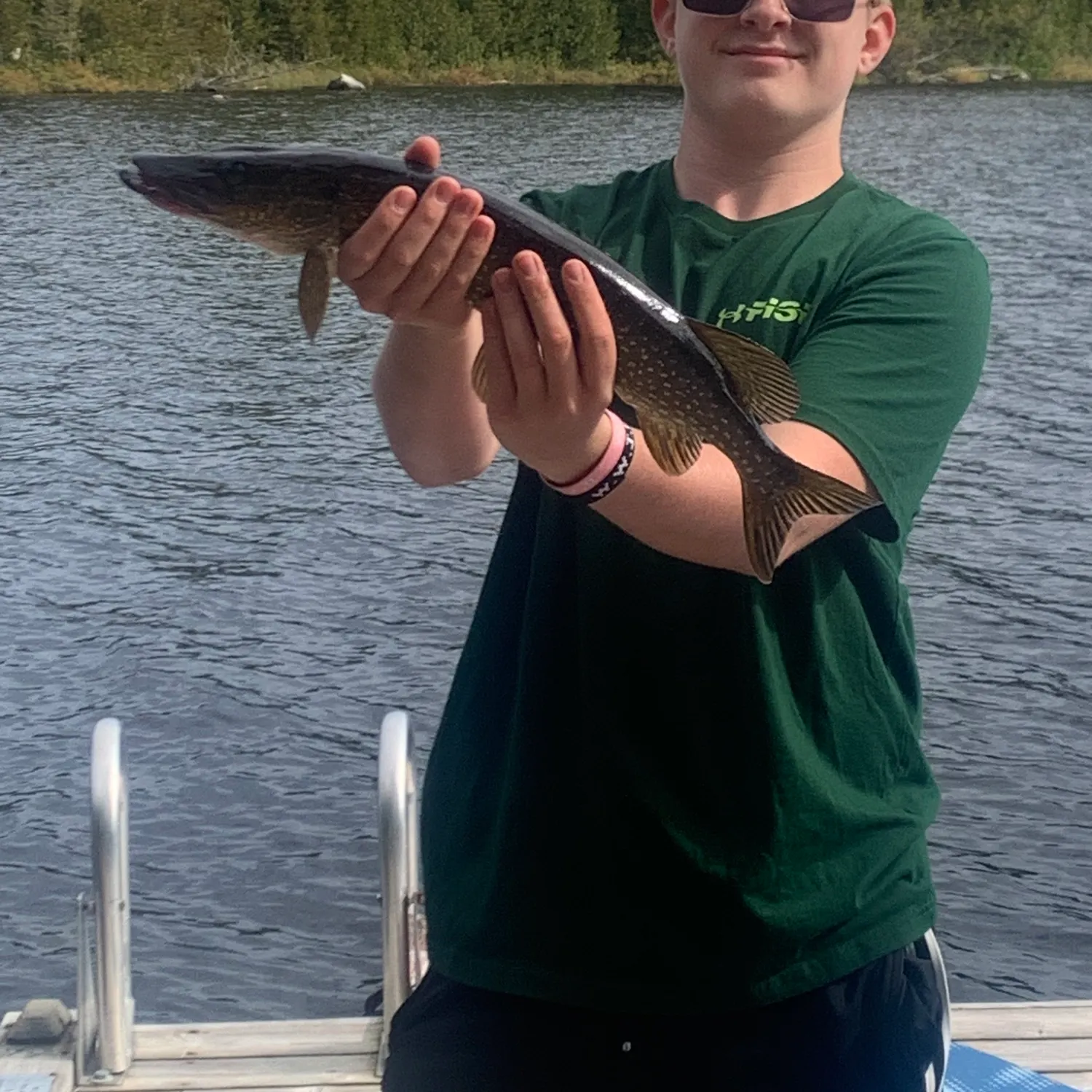 Northern pike caught on Fishbrain