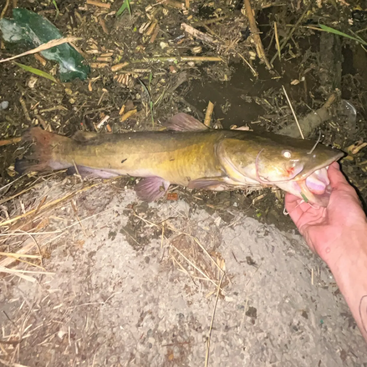 catch