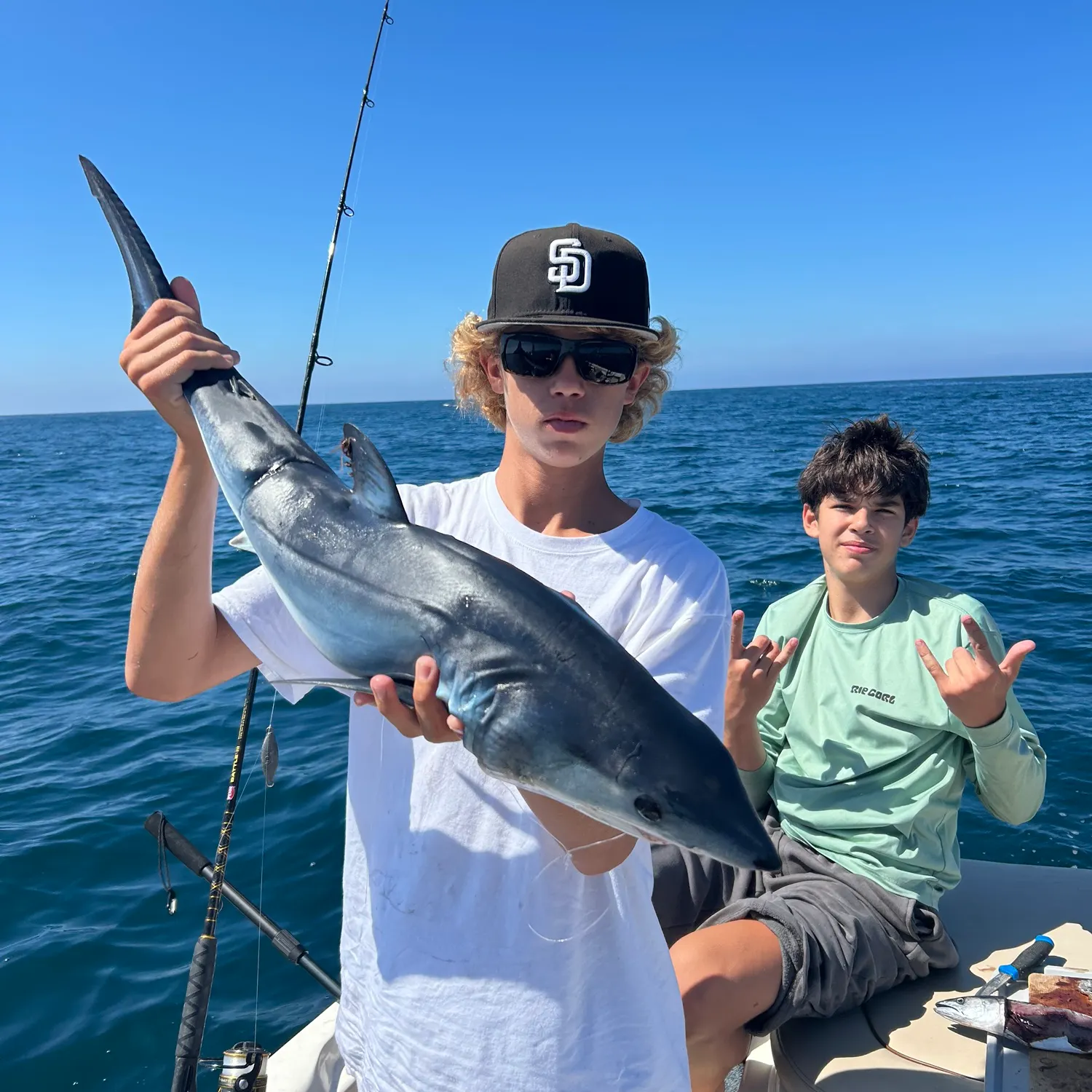 The most recent Shortfin mako shark catches on Fishbrain