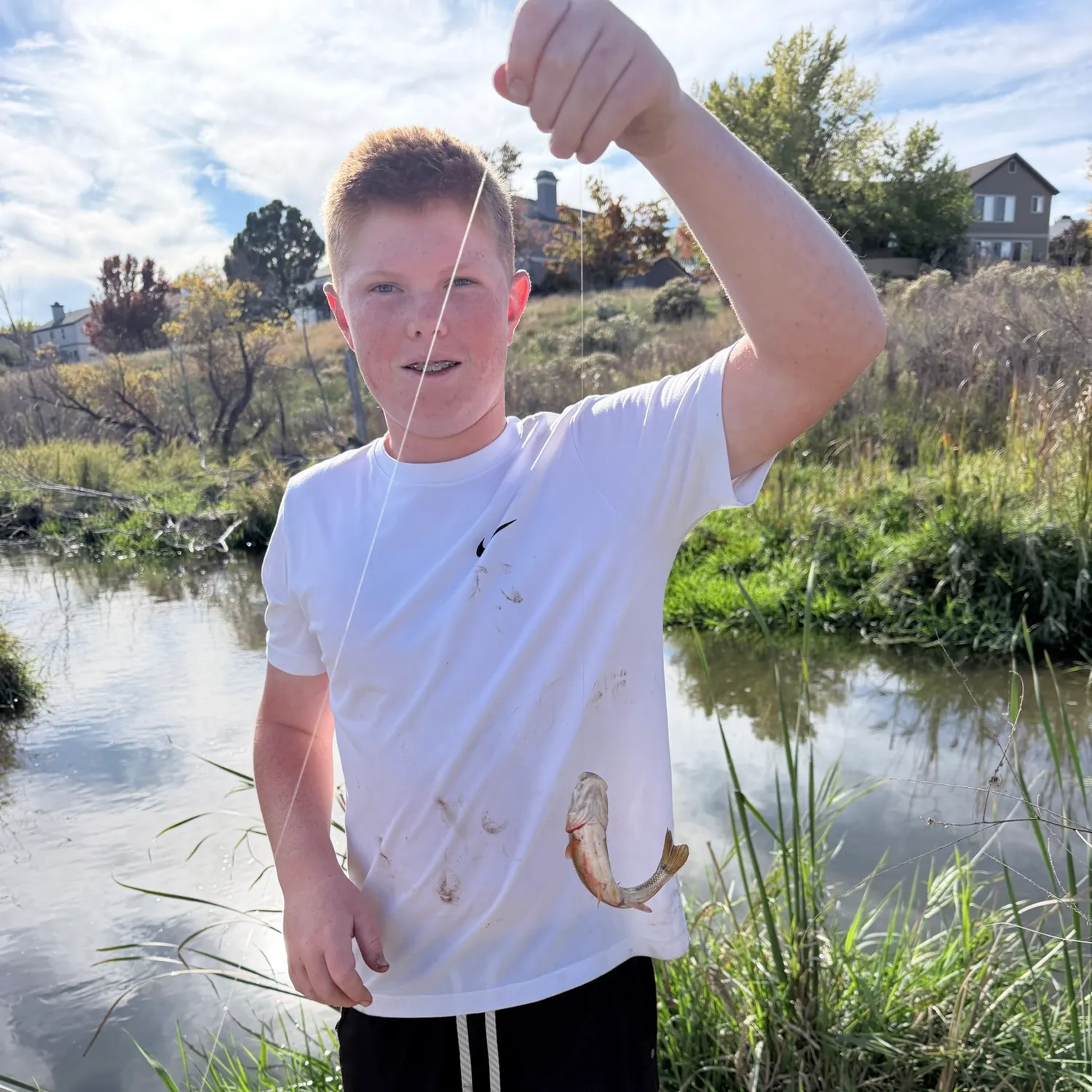 Creek chub caught on Fishbrain