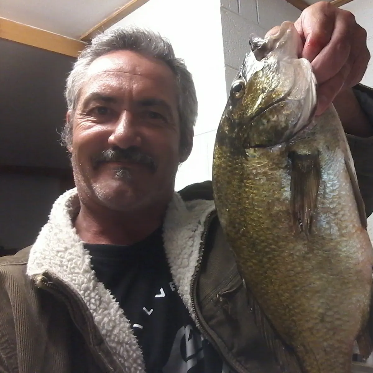 Southern black bream caught on Fishbrain