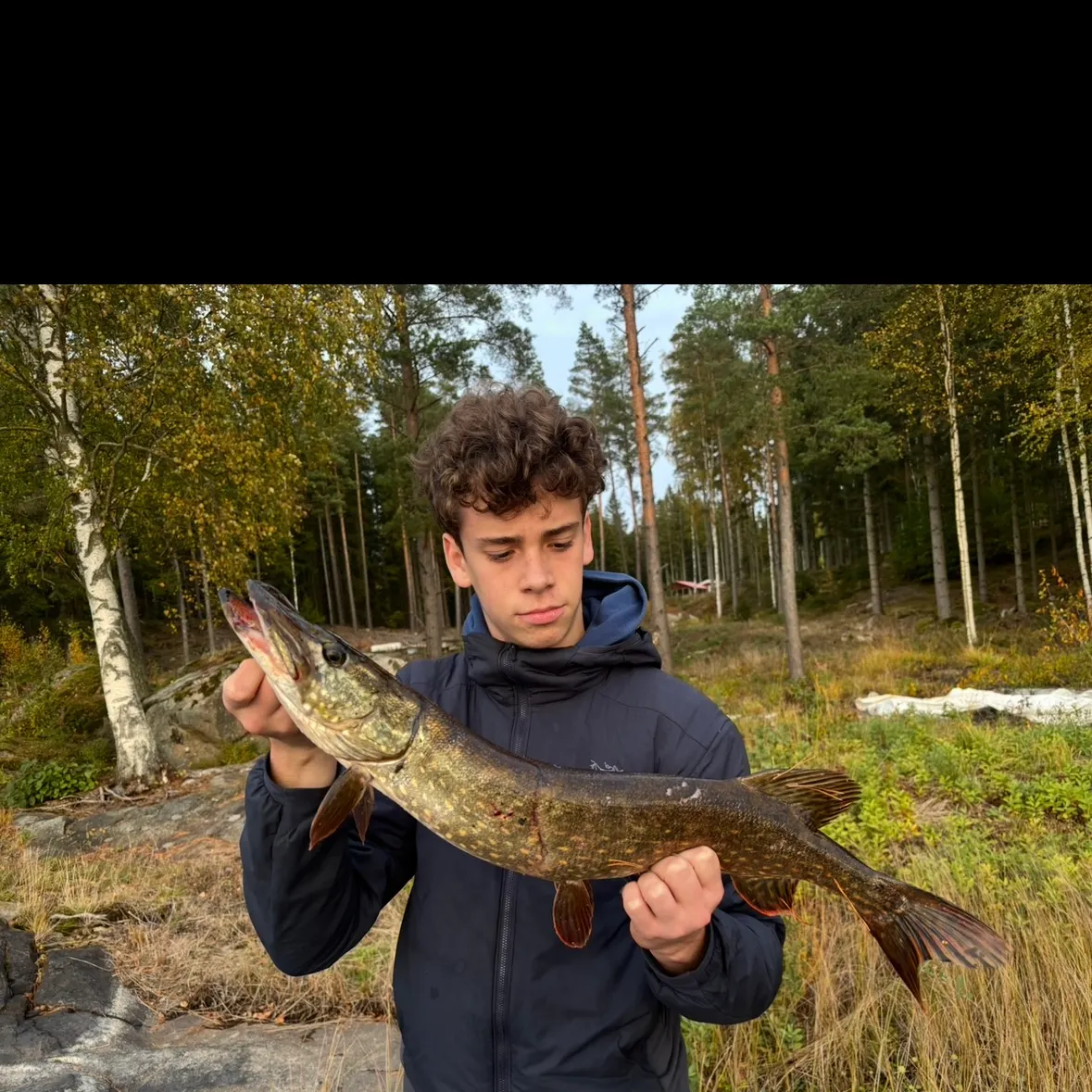 Northern pike caught on Fishbrain