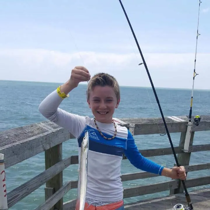 The most recent Silver scabbardfish catches on Fishbrain
