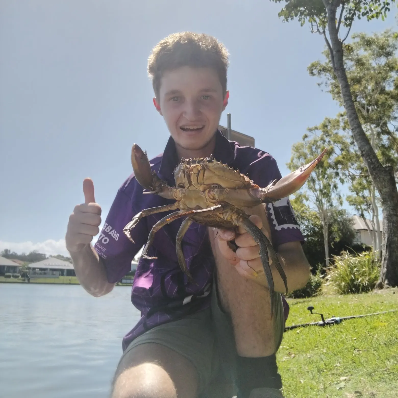The most recent Giant mud crab catches on Fishbrain
