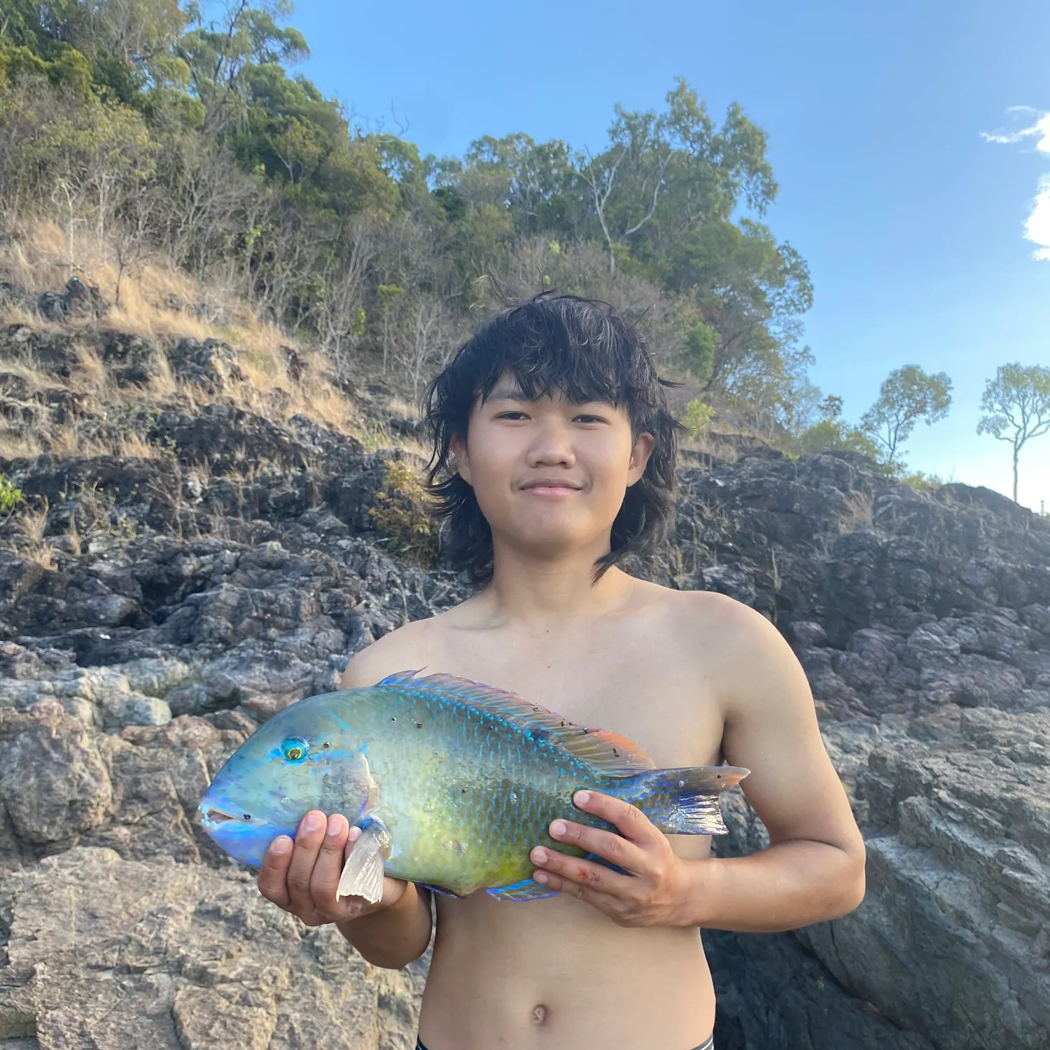 The most recent Blackspot tuskfish catches on Fishbrain