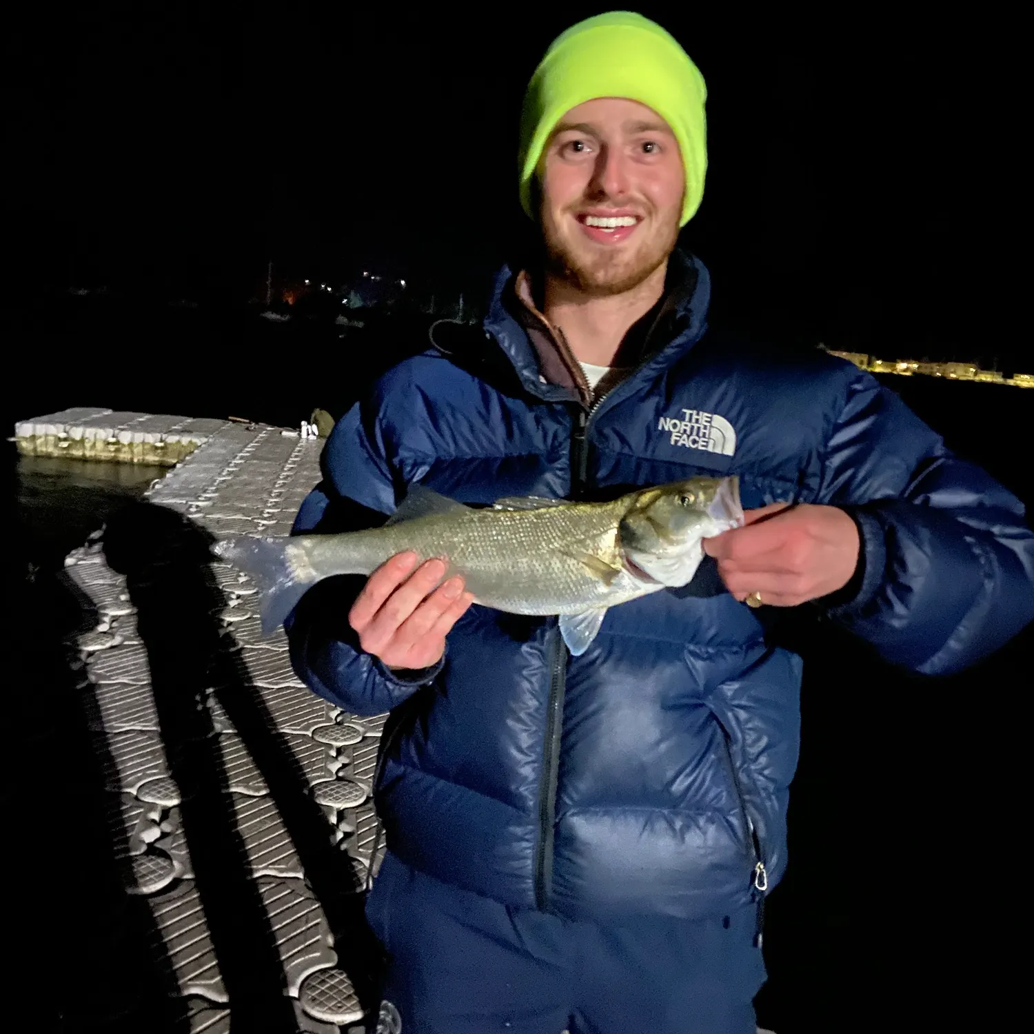 European seabass caught on Fishbrain