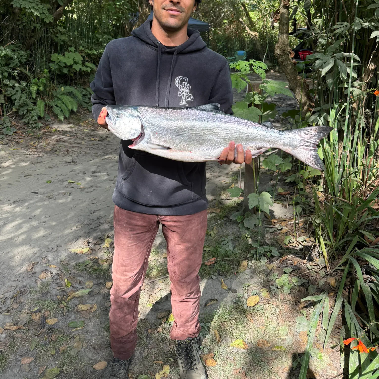 Chinook salmon caught on Fishbrain