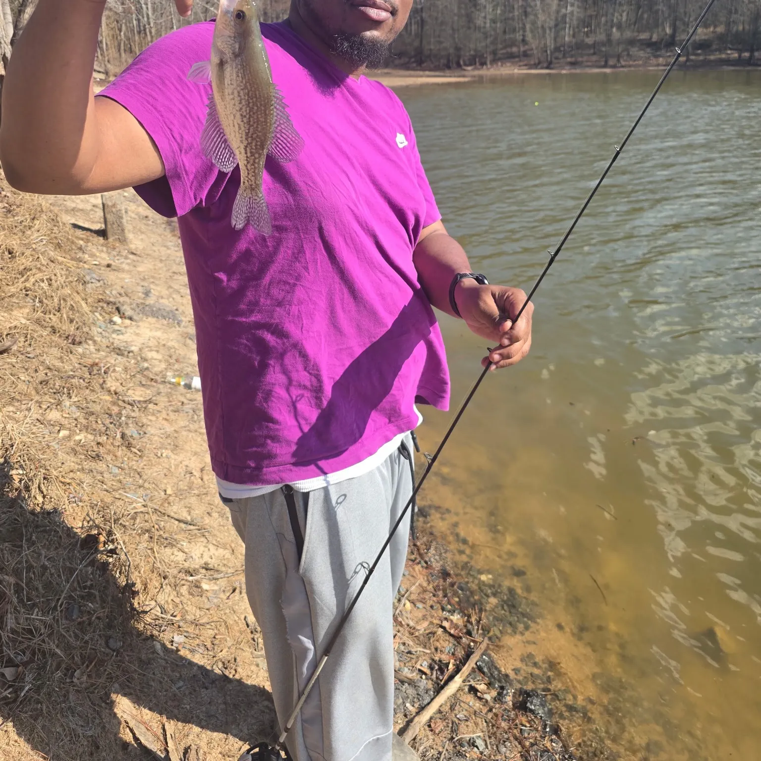 The most recent White crappie catches on Fishbrain