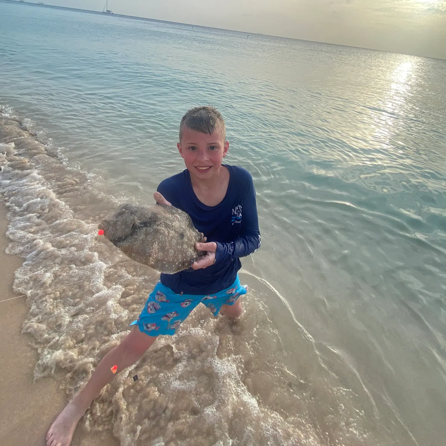 The most recent Atlantic peacock flounder catches on Fishbrain