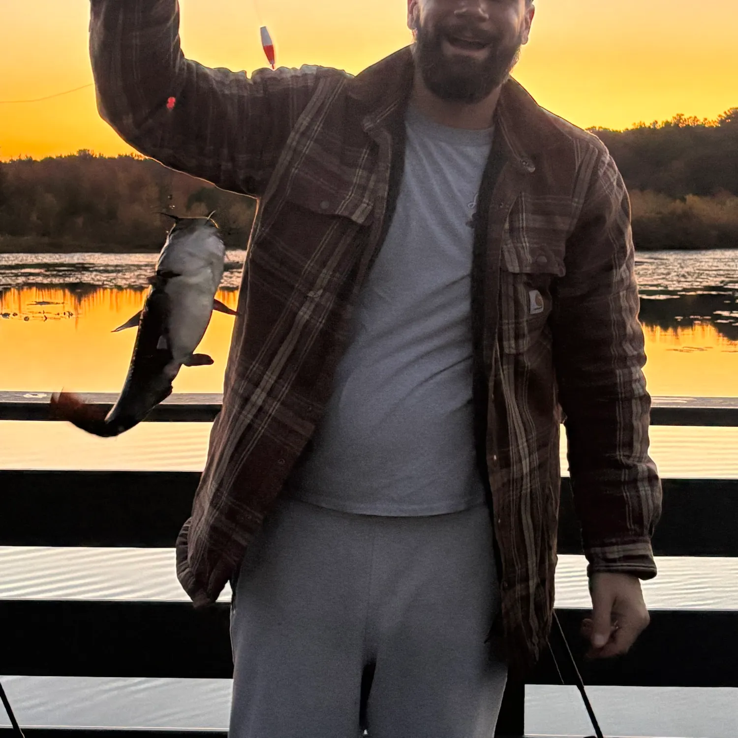 Black bullhead caught on Fishbrain
