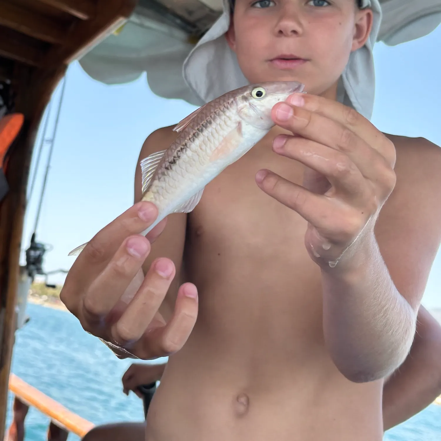 The most recent Yellowstripe goatfish catches on Fishbrain