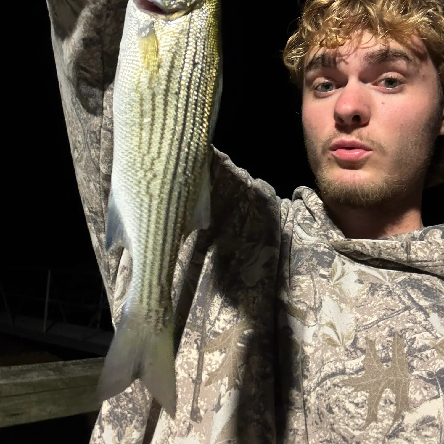 Striped bass caught on Fishbrain