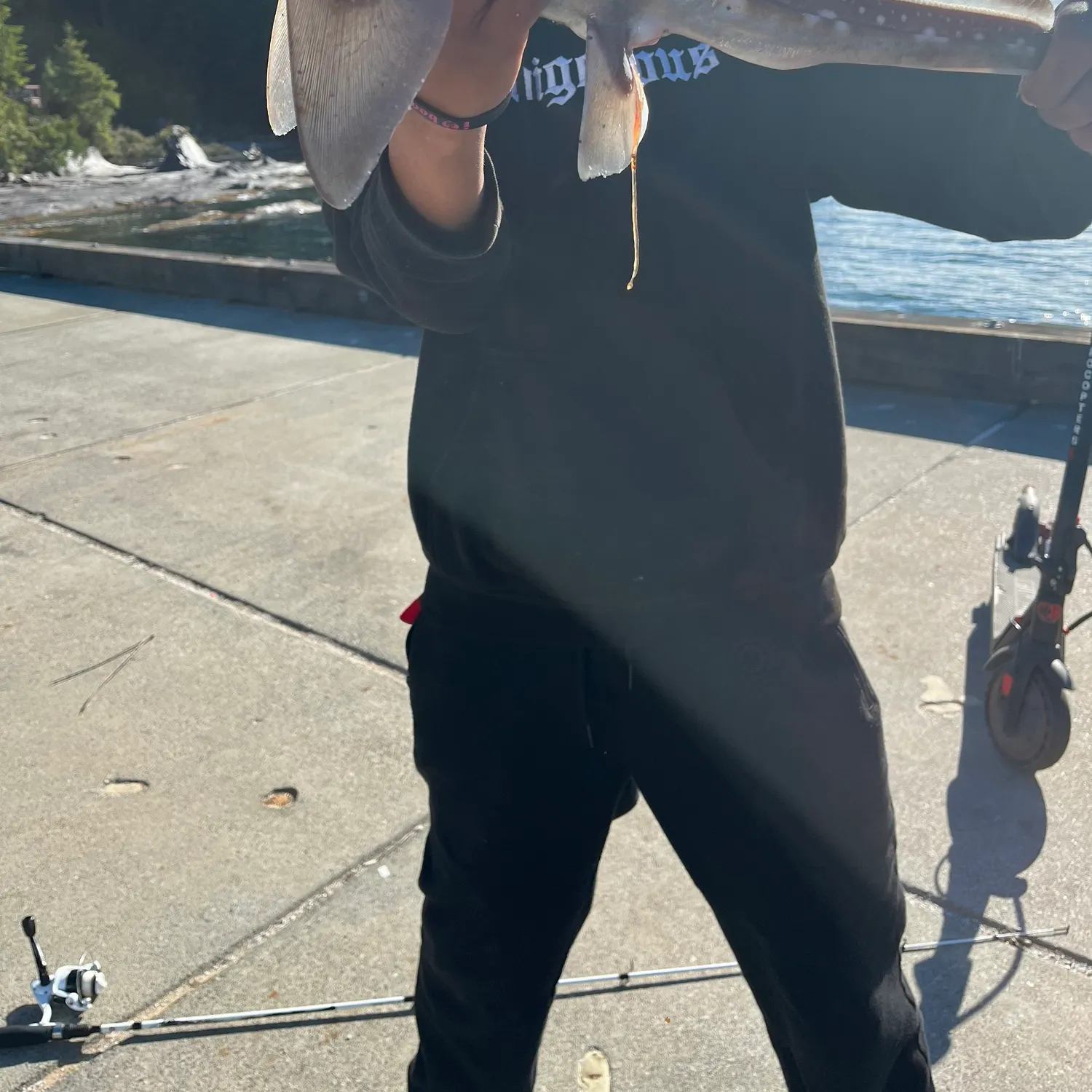 The most recent Spotted ratfish catches on Fishbrain