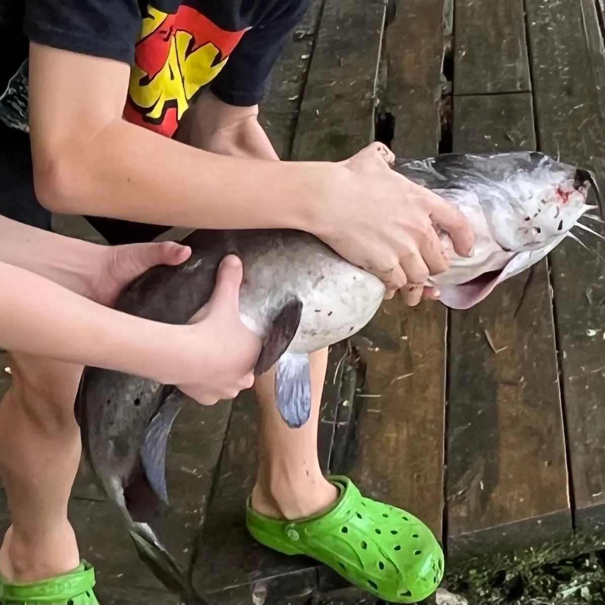 catch