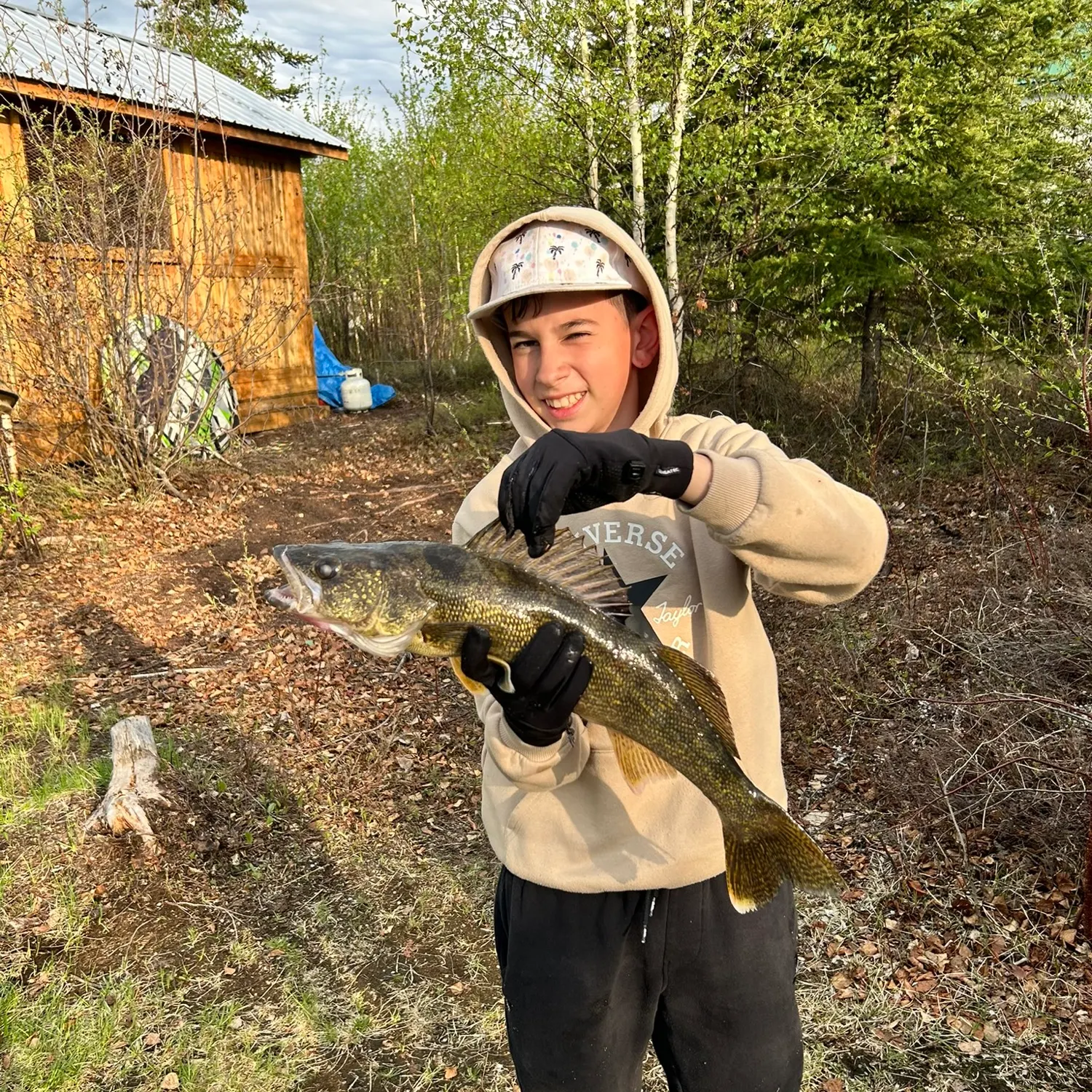 The most recent Sauger catches on Fishbrain